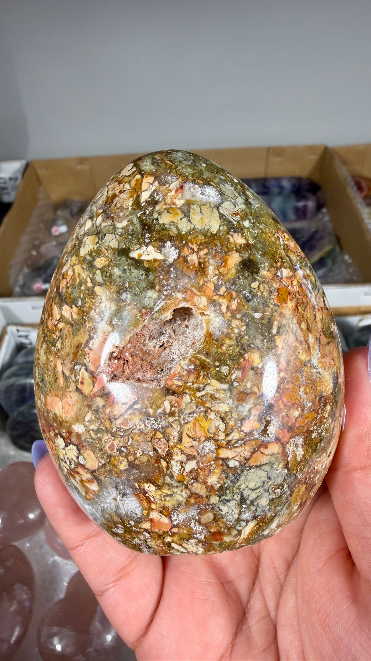 Gorgeous Ibis Jasper Freeform | Opt 27