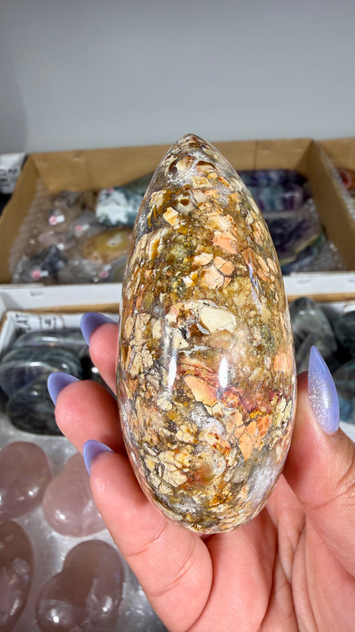 Gorgeous Ibis Jasper Freeform | Opt 27