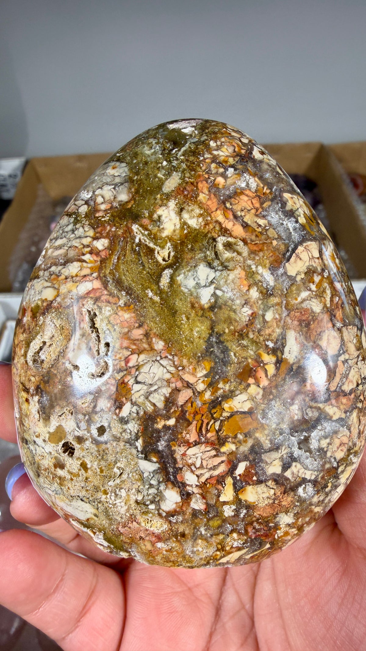 Gorgeous Ibis Jasper Freeform | Opt 27
