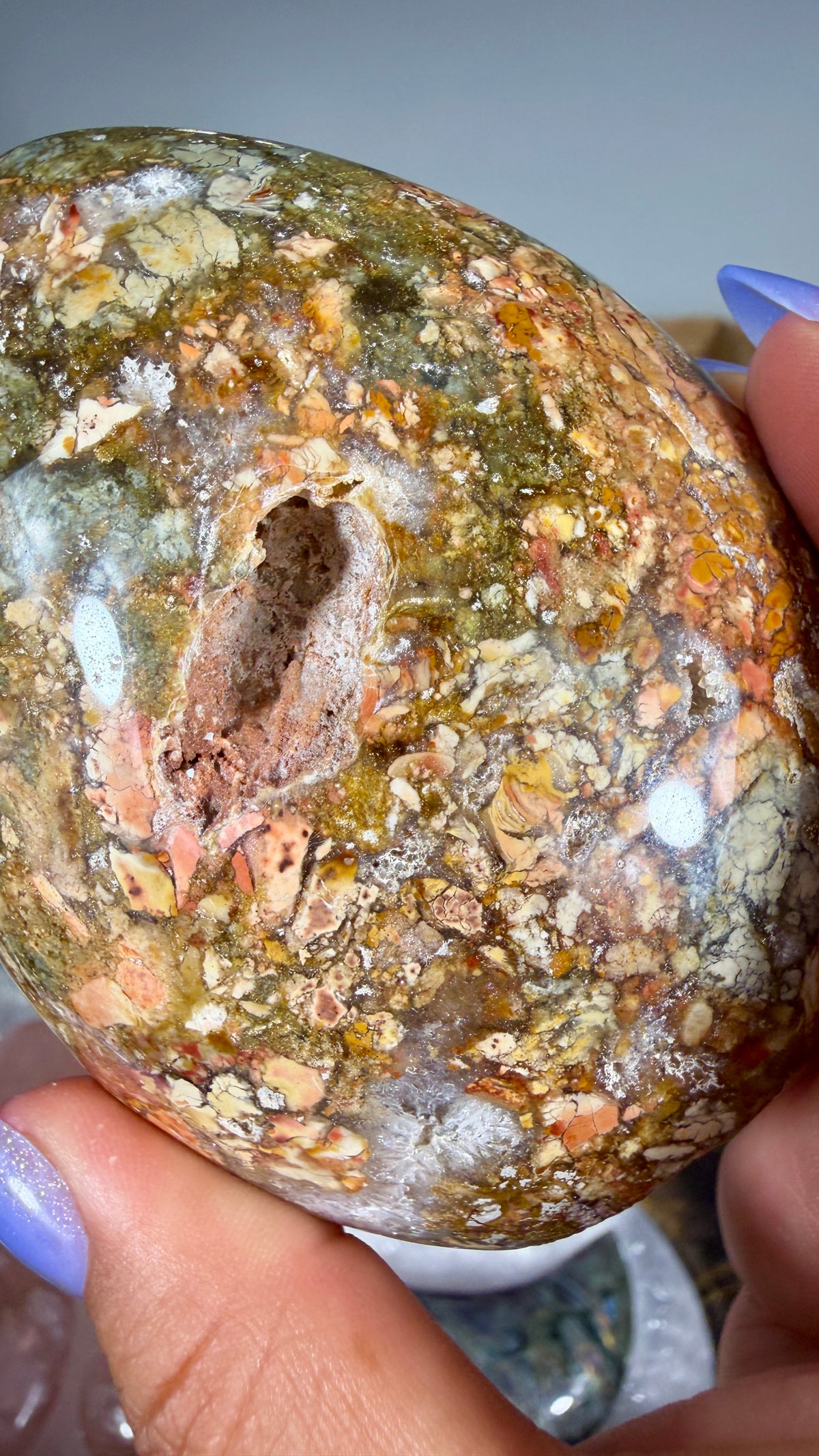 Gorgeous Ibis Jasper Freeform | Opt 27