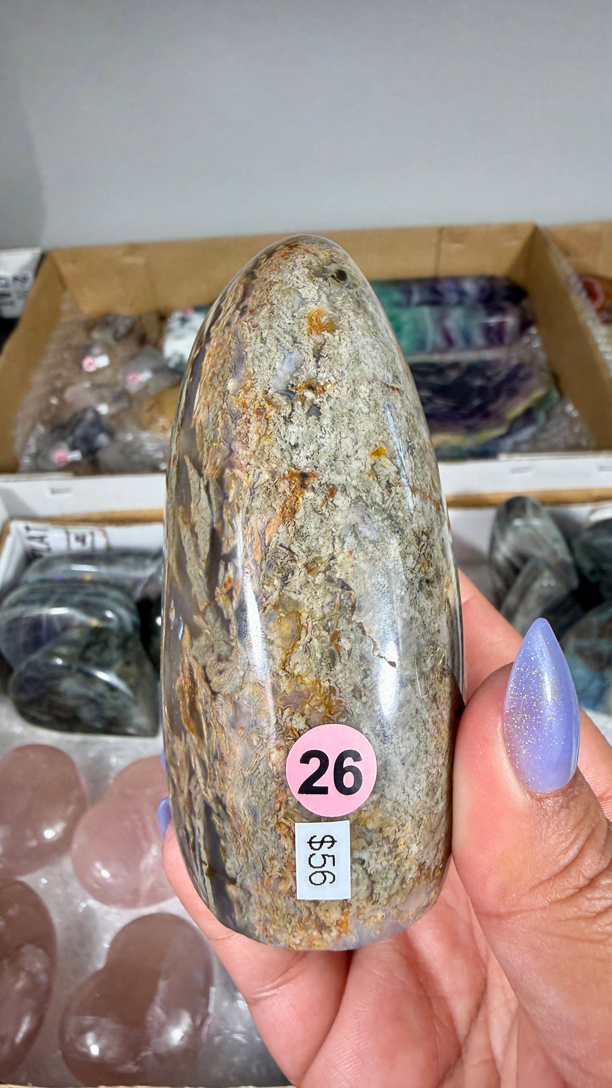 Gorgeous Ibis Jasper Freeform | Opt 26