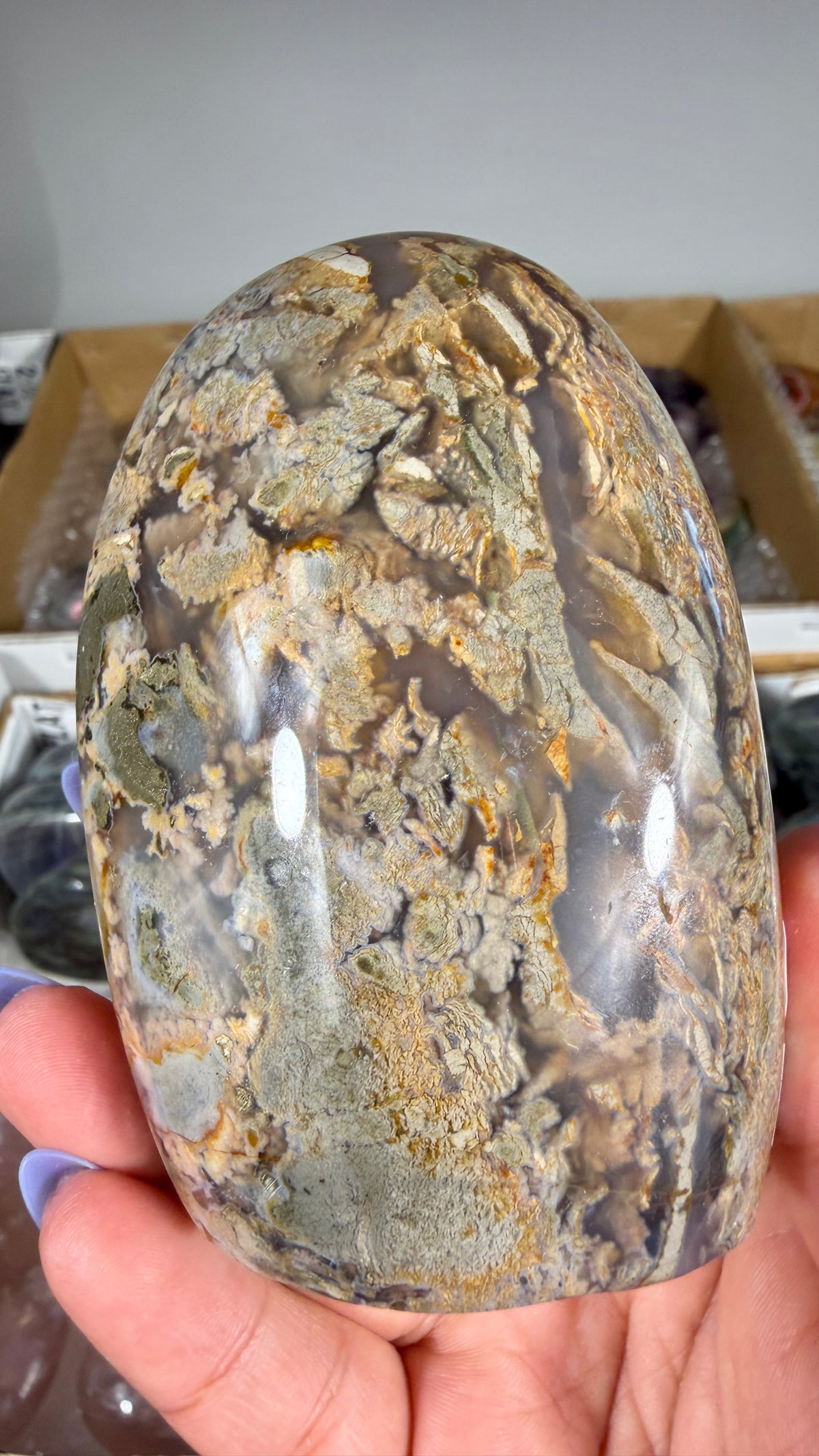 Gorgeous Ibis Jasper Freeform | Opt 26