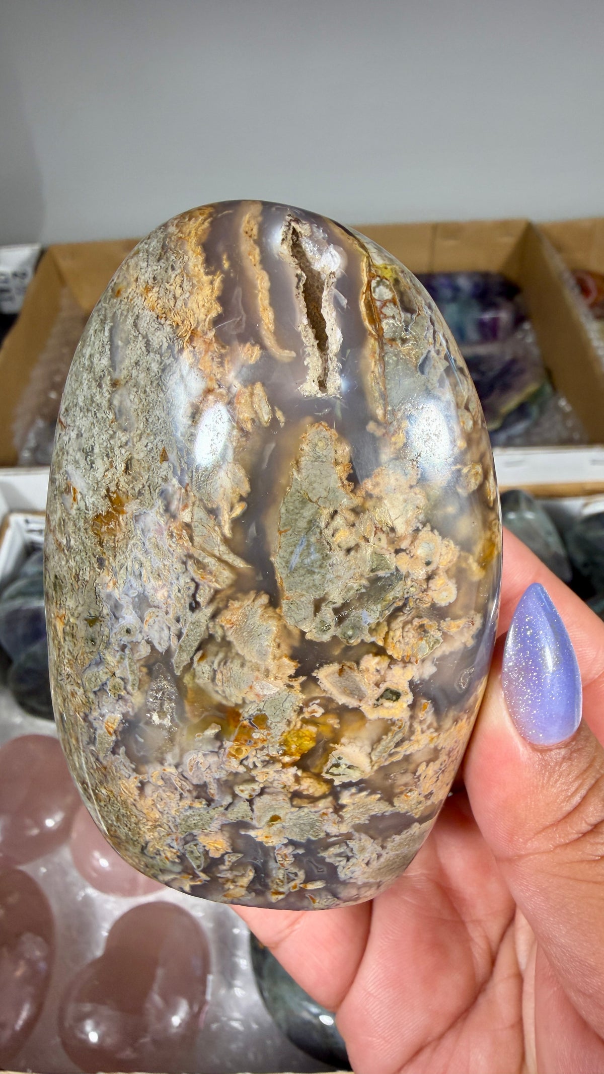 Gorgeous Ibis Jasper Freeform | Opt 26