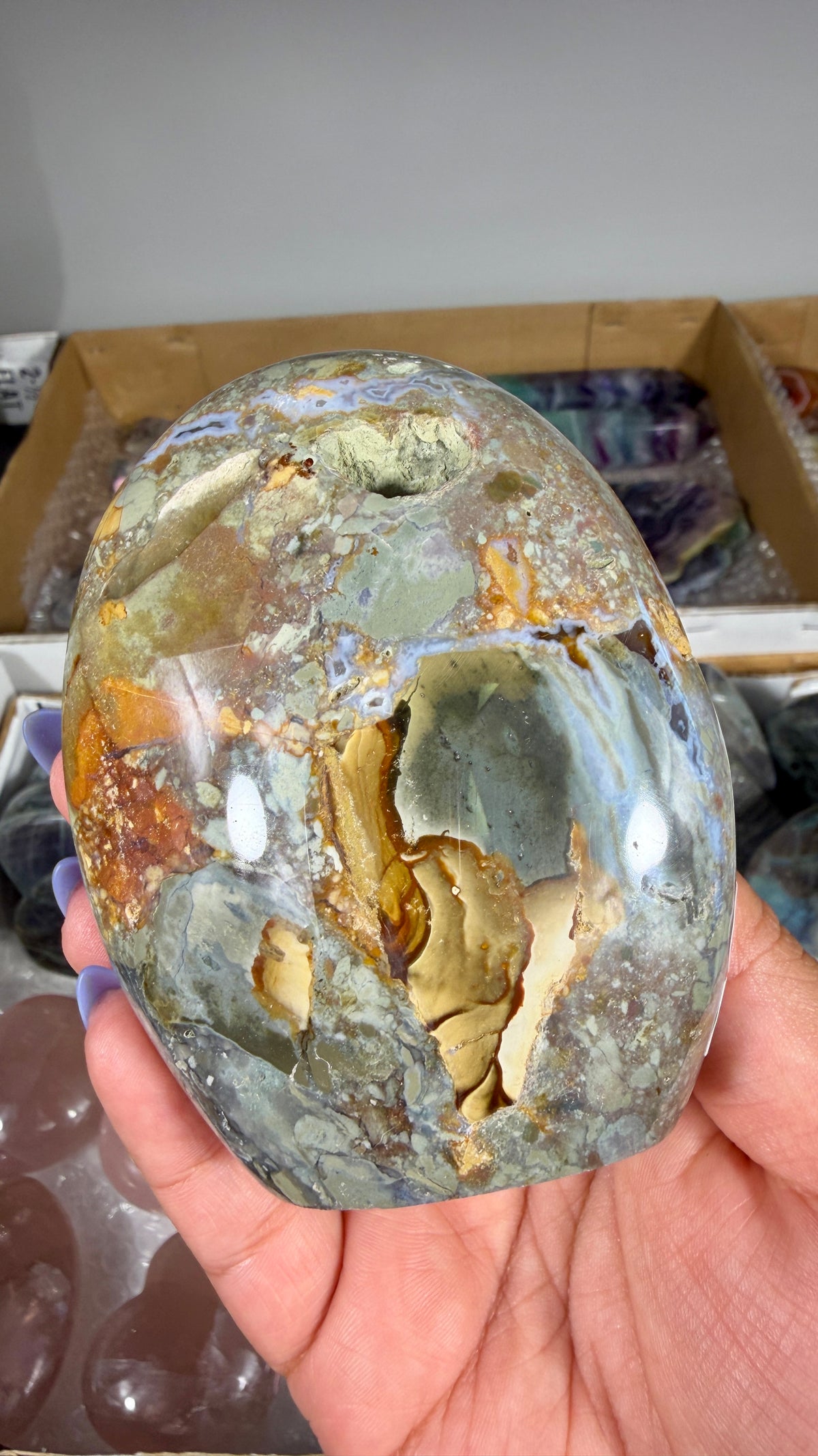 Gorgeous Ibis Jasper Freeform | Opt 25