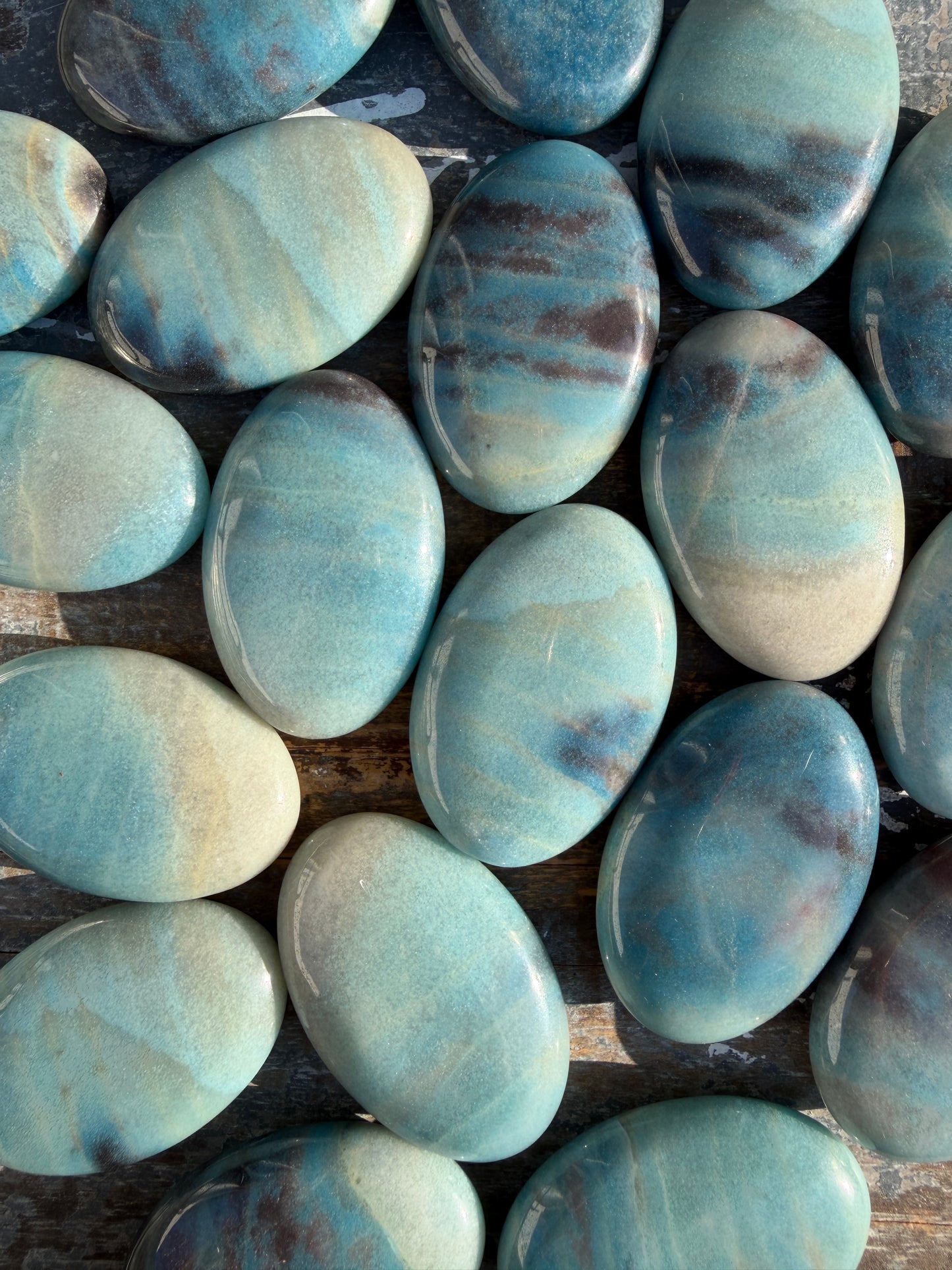 One (1) Brazilian Trolleite Palm Stone | Intuitively Chosen