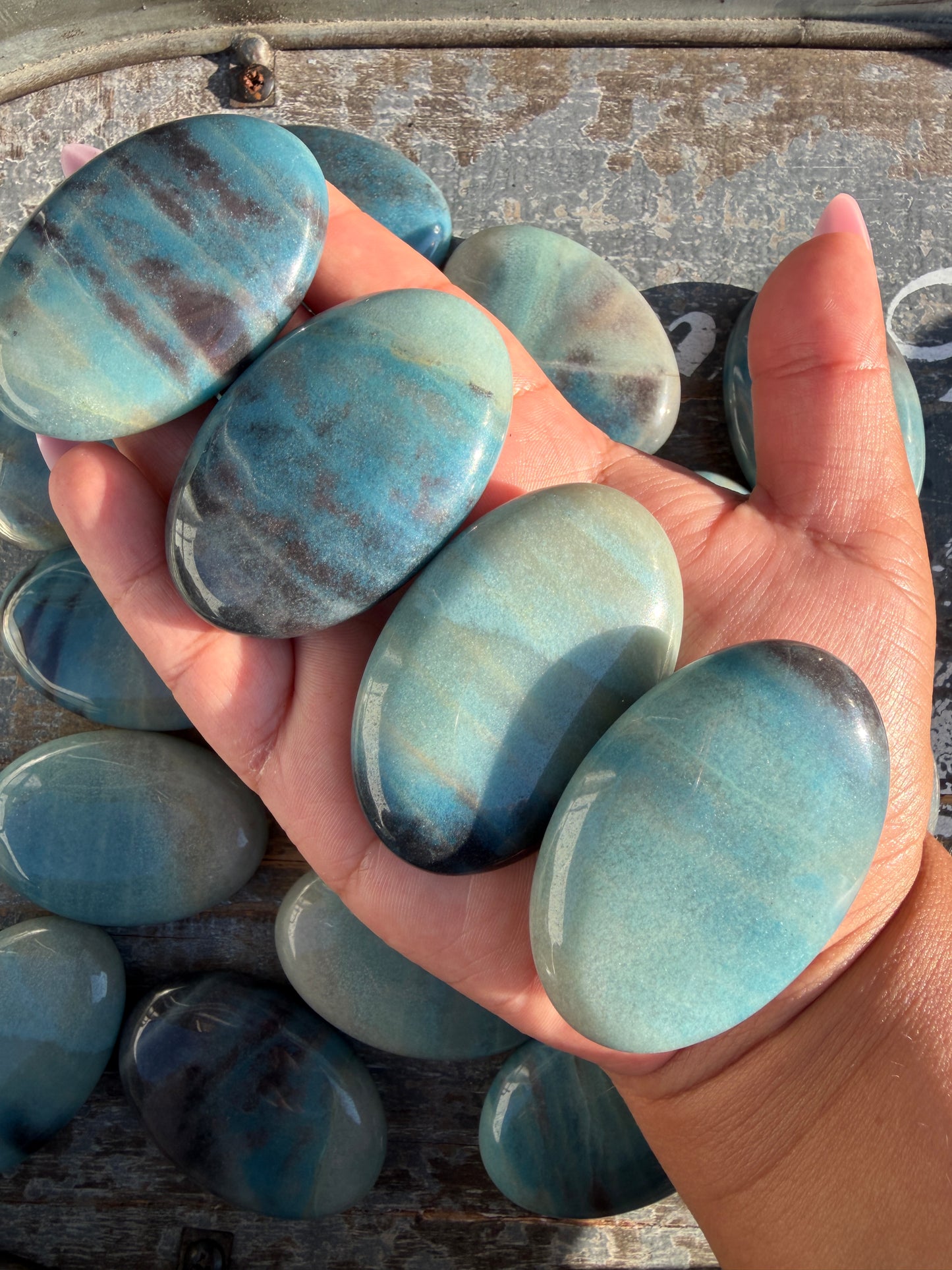 One (1) Brazilian Trolleite Palm Stone | Intuitively Chosen