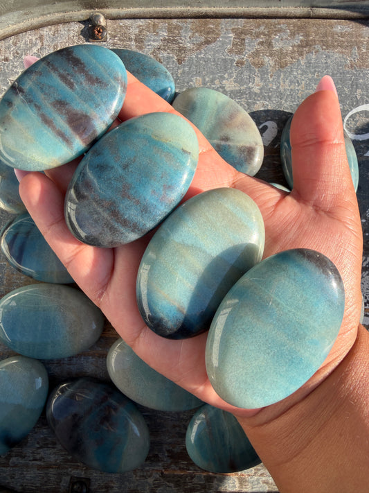 One (1) Brazilian Trolleite Palm Stone | Intuitively Chosen