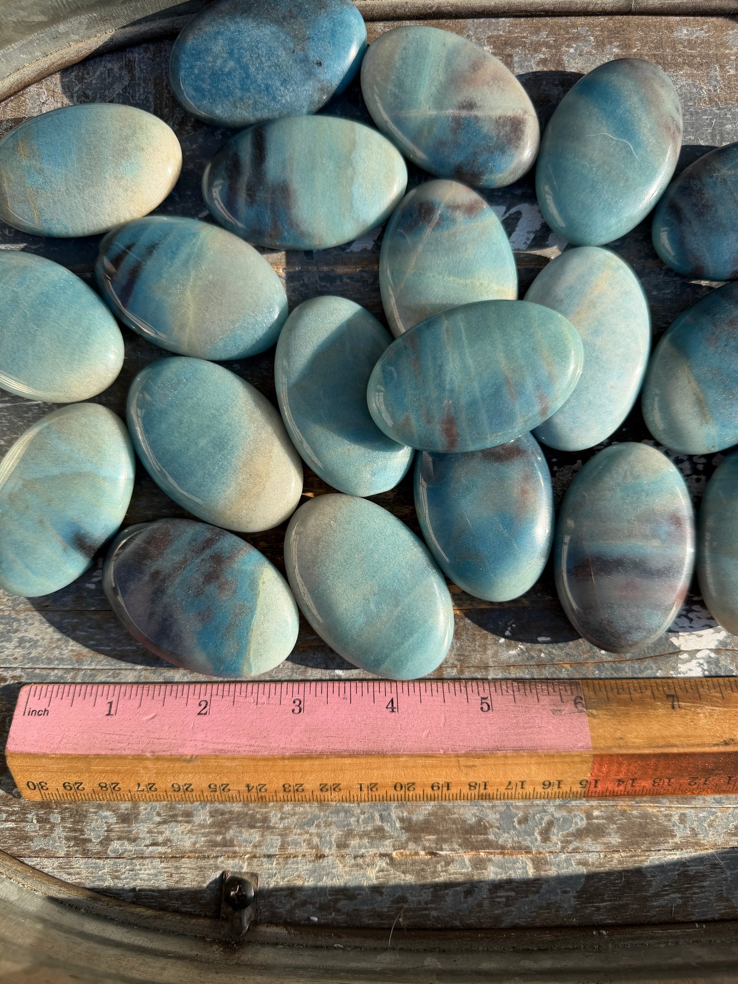 One (1) Brazilian Trolleite Palm Stone | Intuitively Chosen