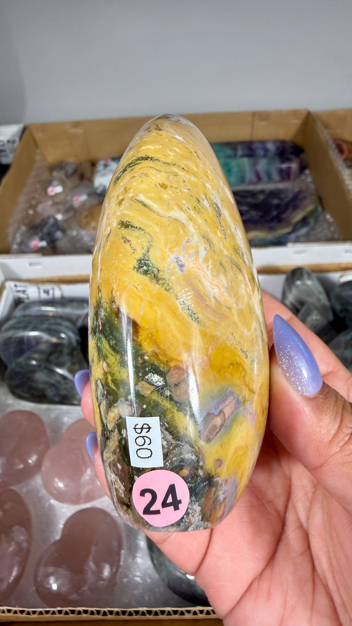 Gorgeous Ibis Jasper Freeform | Opt 24