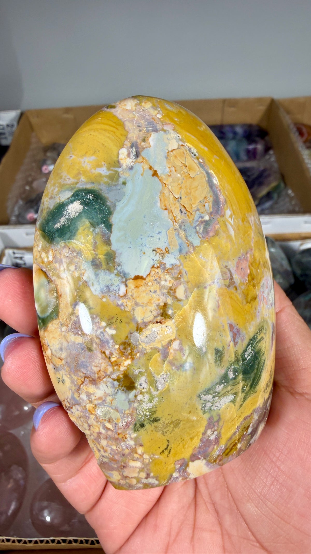Gorgeous Ibis Jasper Freeform | Opt 24