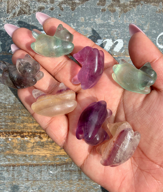 One (1) Rainbow Fluorite Flying Kitty | Intuitively Chosen