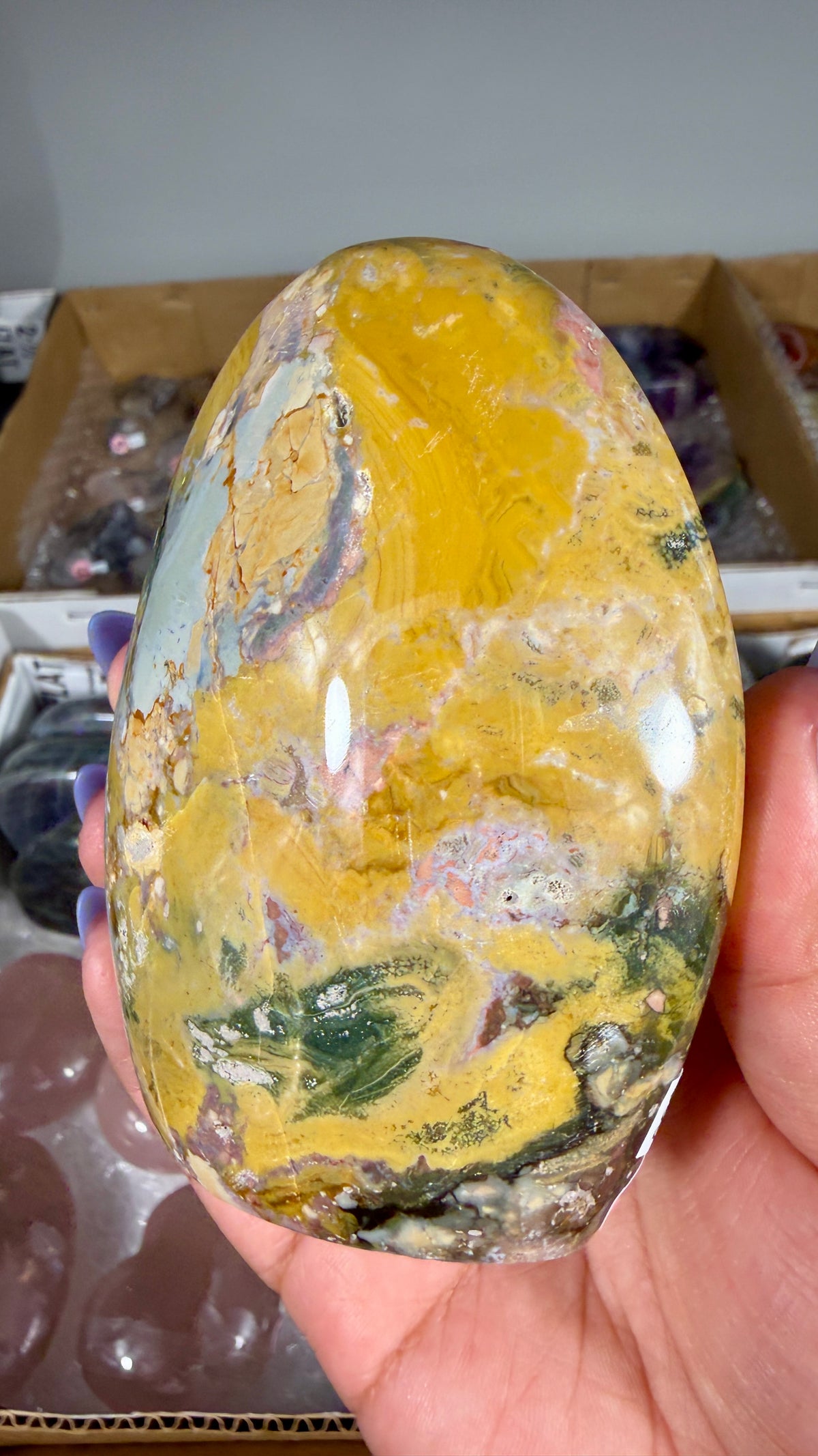 Gorgeous Ibis Jasper Freeform | Opt 24