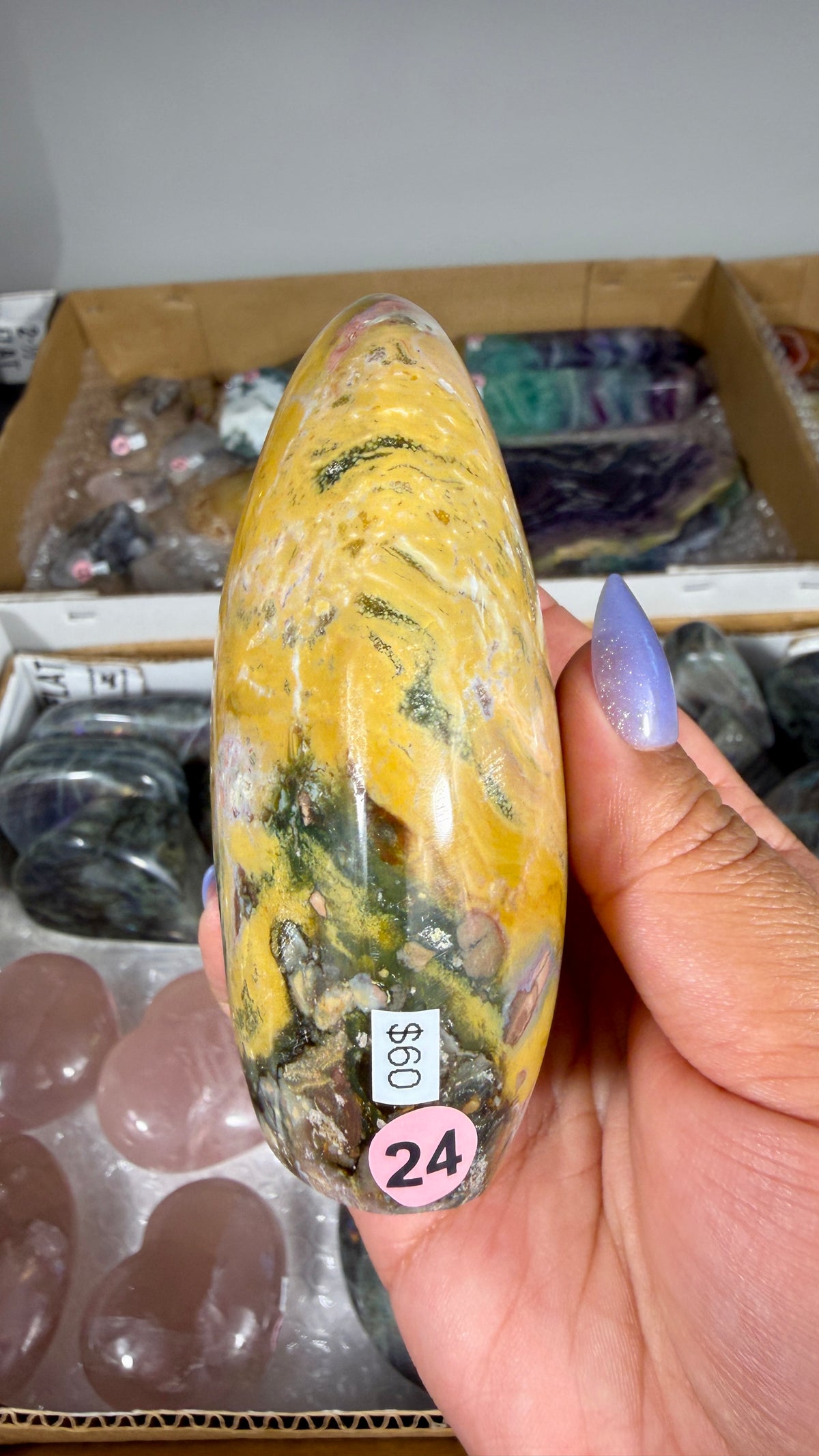 Gorgeous Ibis Jasper Freeform | Opt 24