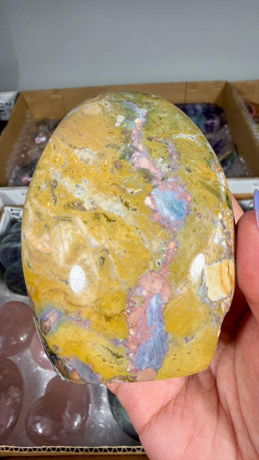Gorgeous Ibis Jasper Freeform | Opt 24