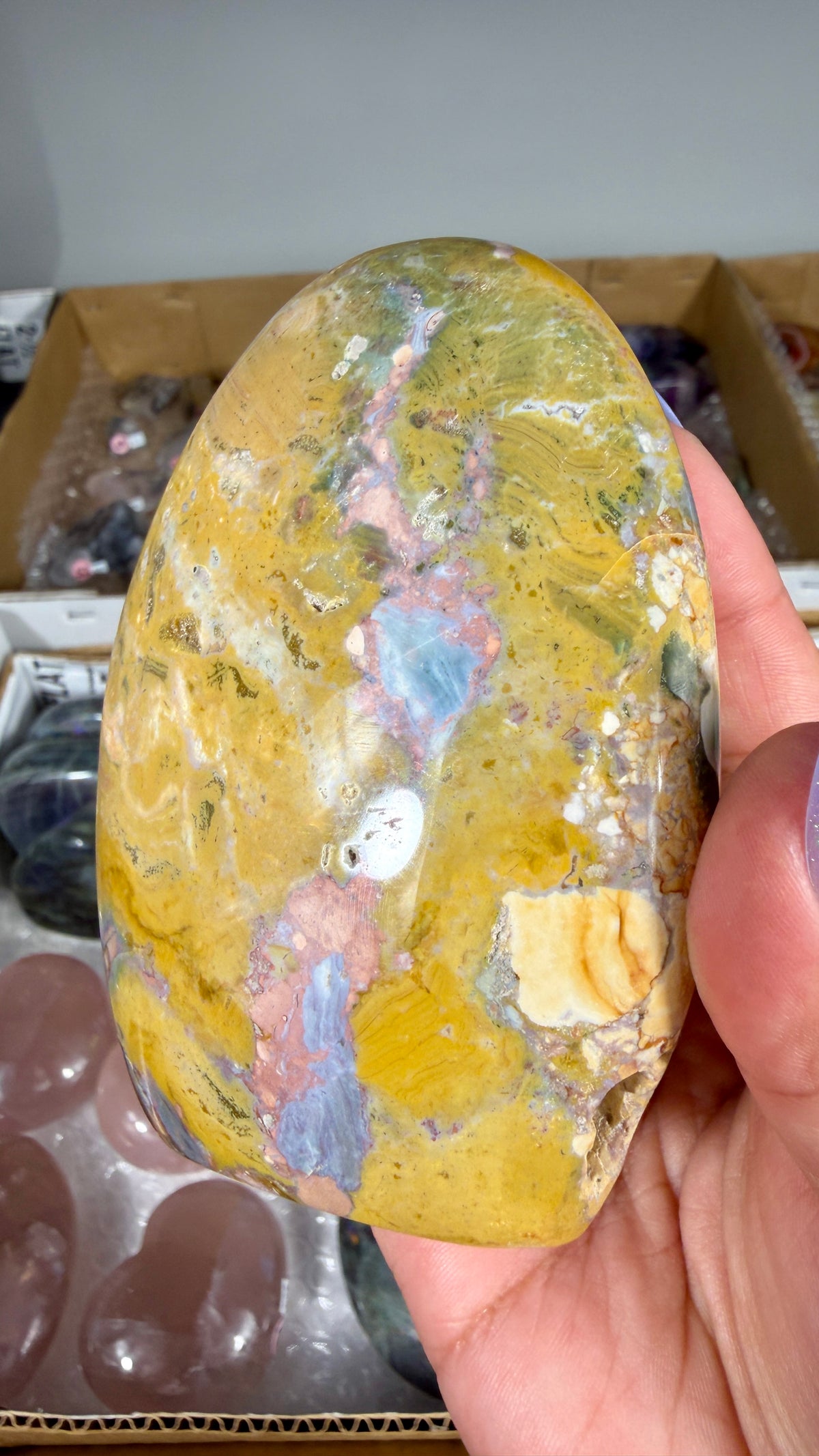 Gorgeous Ibis Jasper Freeform | Opt 24