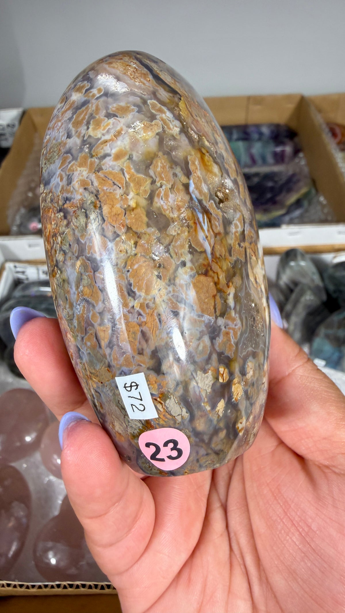 Gorgeous Ibis Jasper Freeform | Opt 23