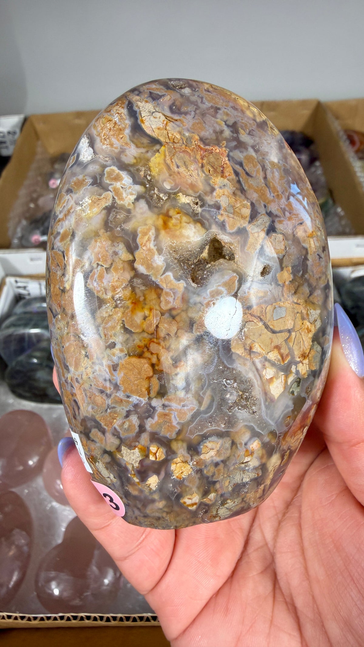 Gorgeous Ibis Jasper Freeform | Opt 23