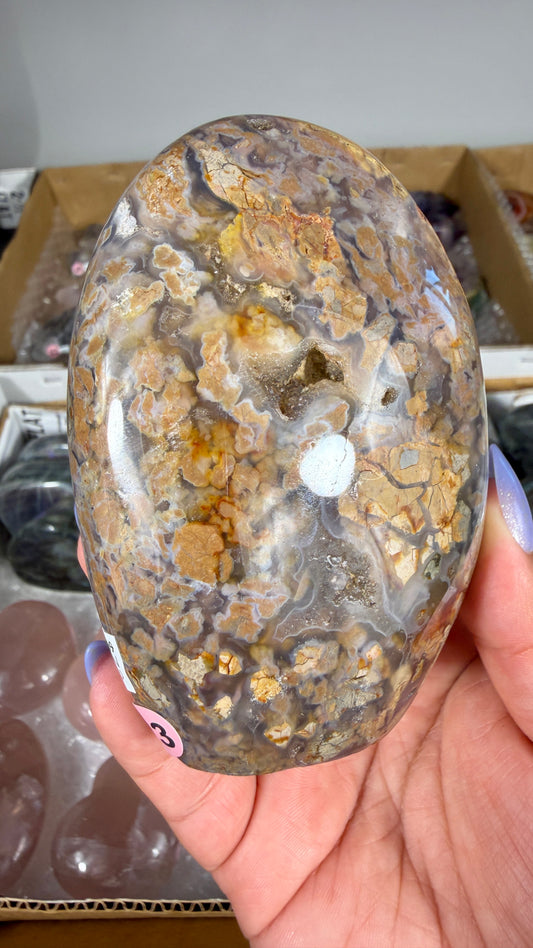 Gorgeous Ibis Jasper Freeform | Opt 23