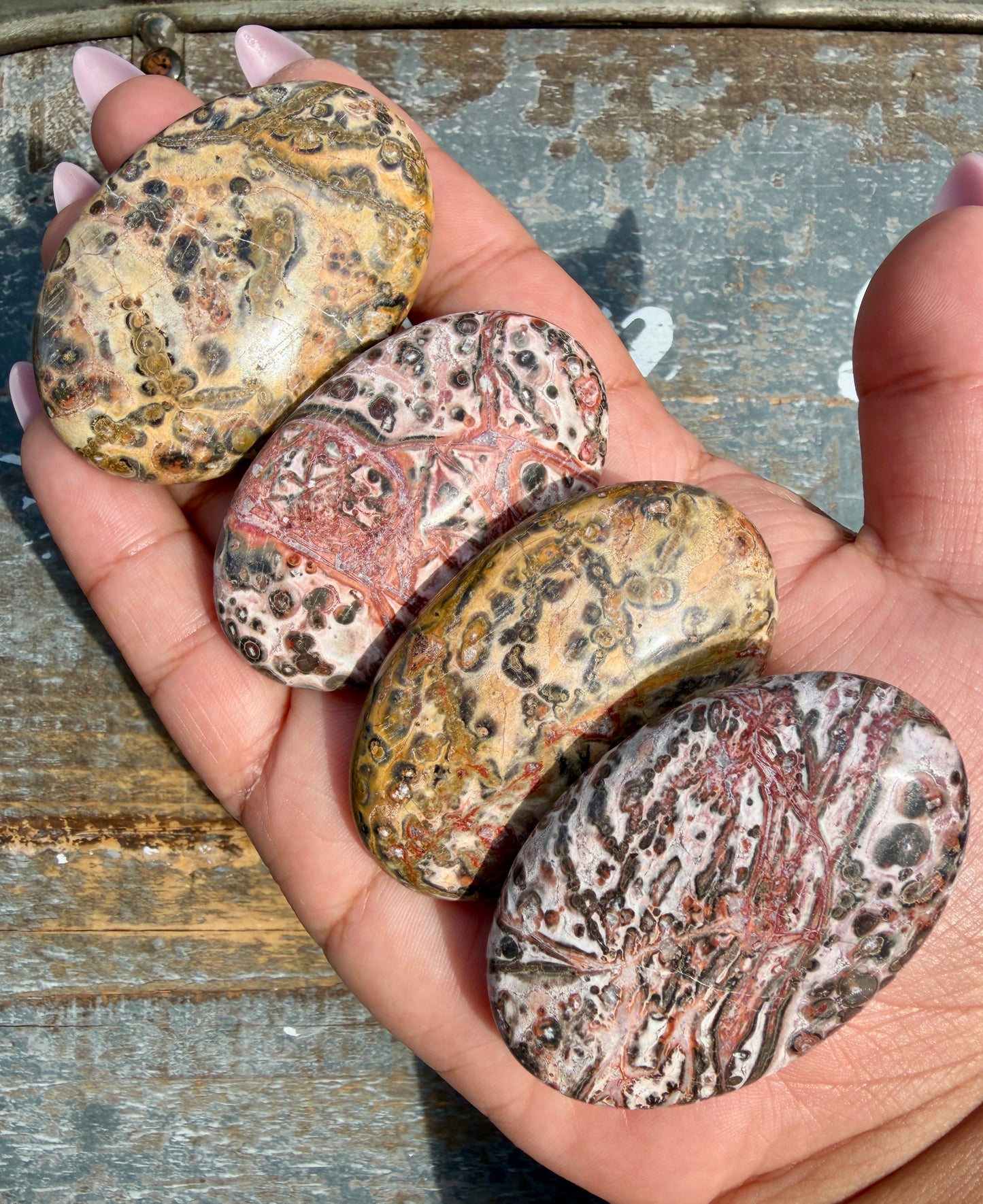 One (1) Leopard Skin Jasper Palm Stone | Intuitively Chosen