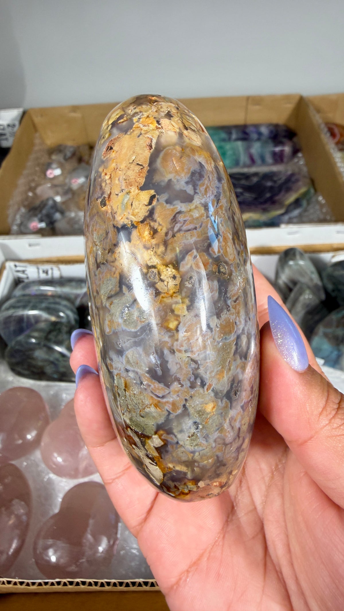 Gorgeous Ibis Jasper Freeform | Opt 23