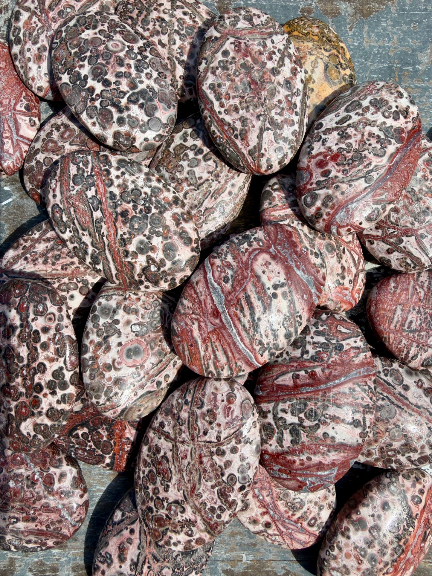 One (1) Leopard Skin Jasper Palm Stone | Intuitively Chosen