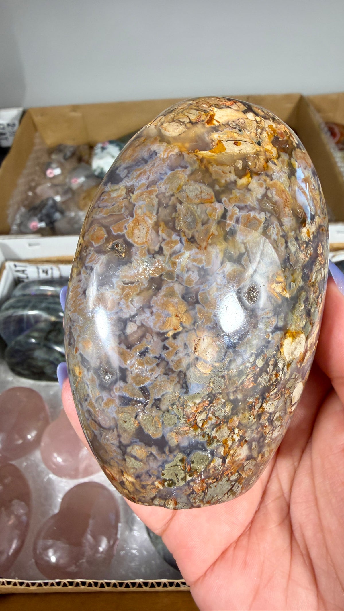 Gorgeous Ibis Jasper Freeform | Opt 23