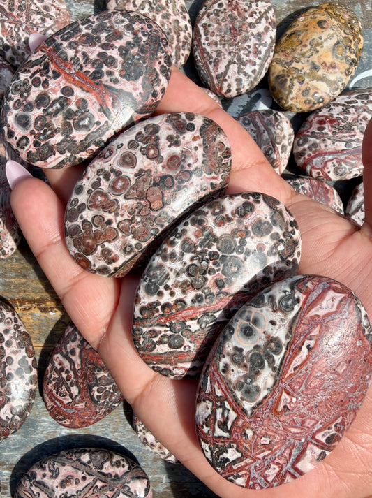 One (1) Leopard Skin Jasper Palm Stone | Intuitively Chosen