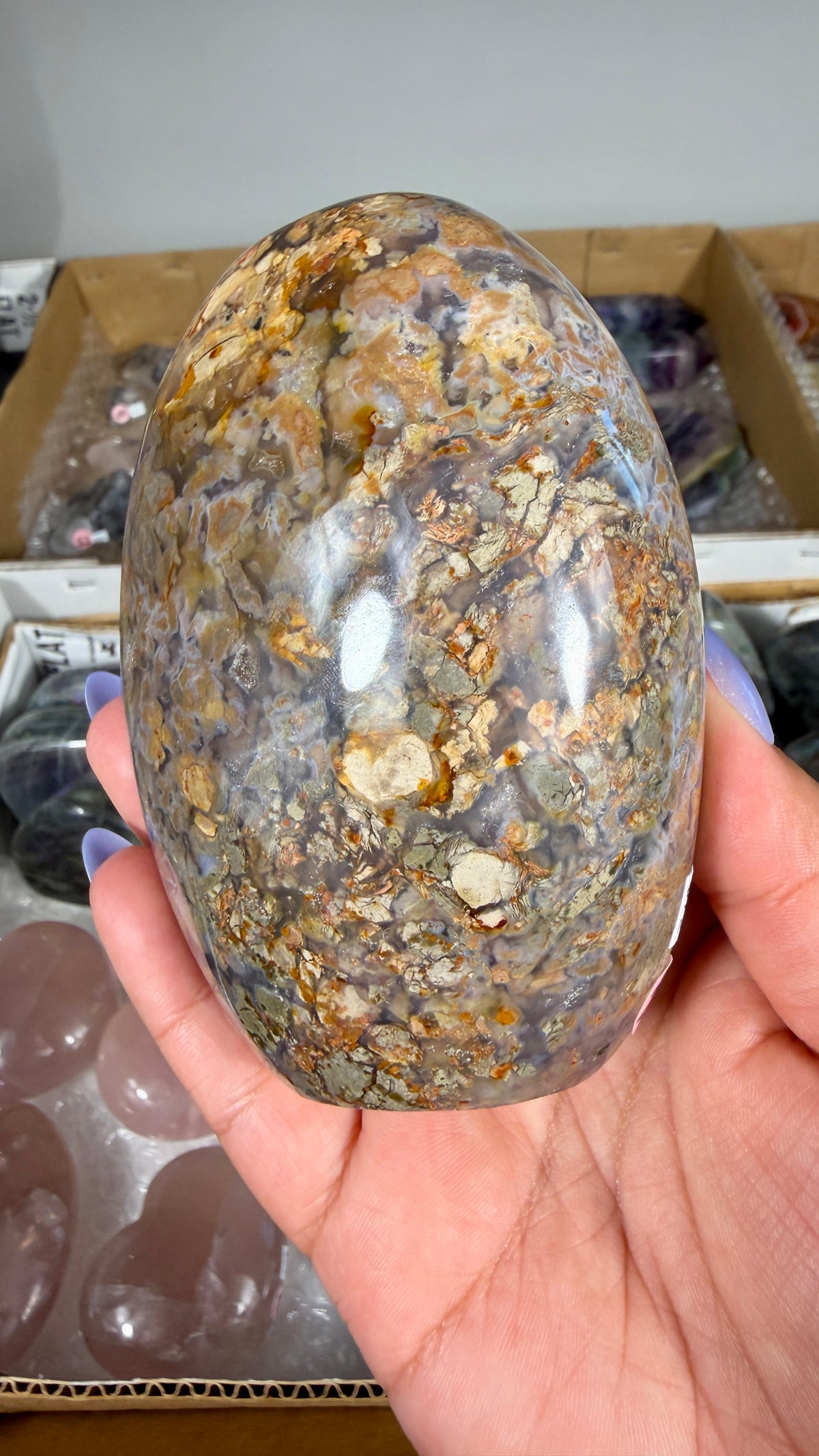 Gorgeous Ibis Jasper Freeform | Opt 23