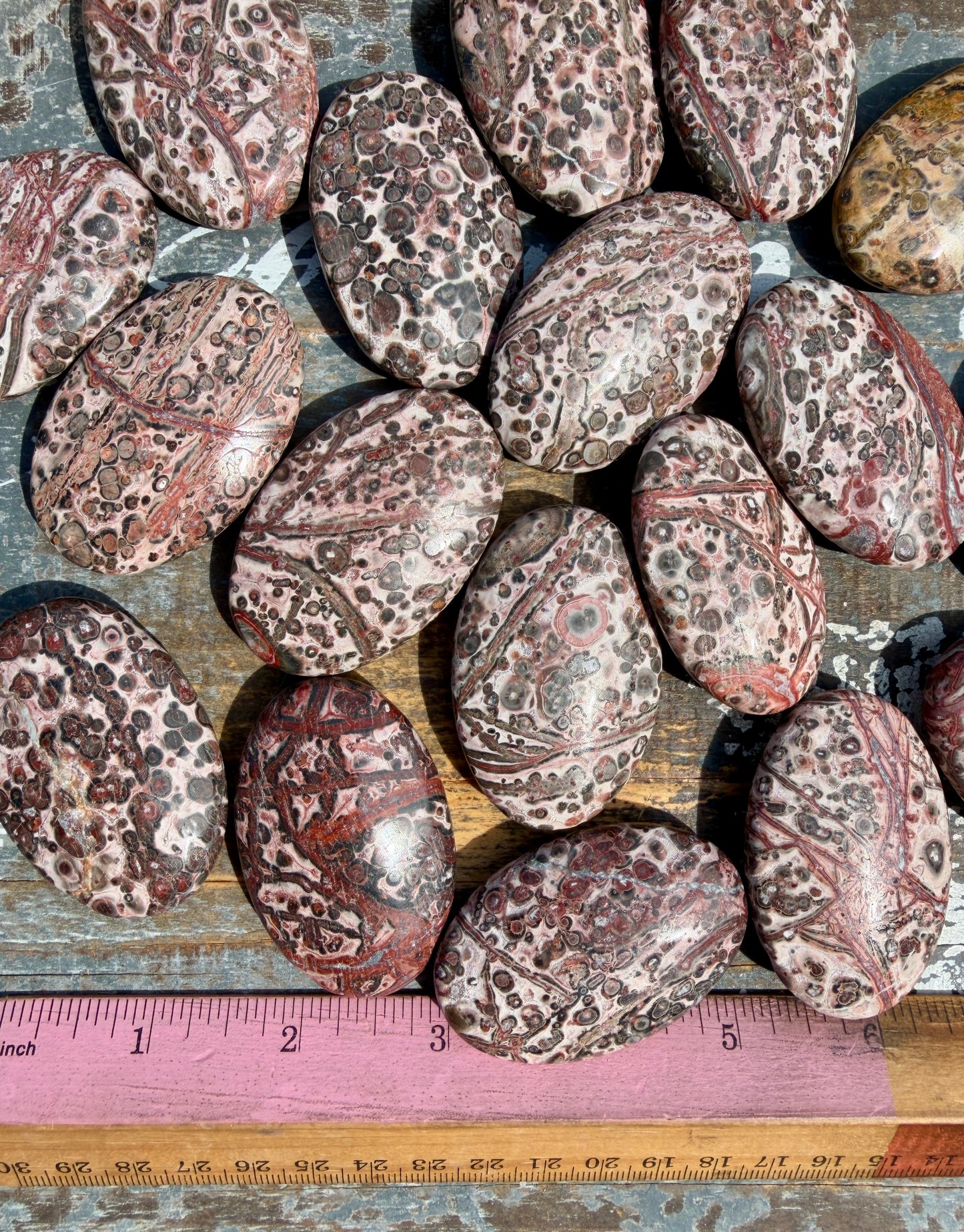 One (1) Leopard Skin Jasper Palm Stone | Intuitively Chosen