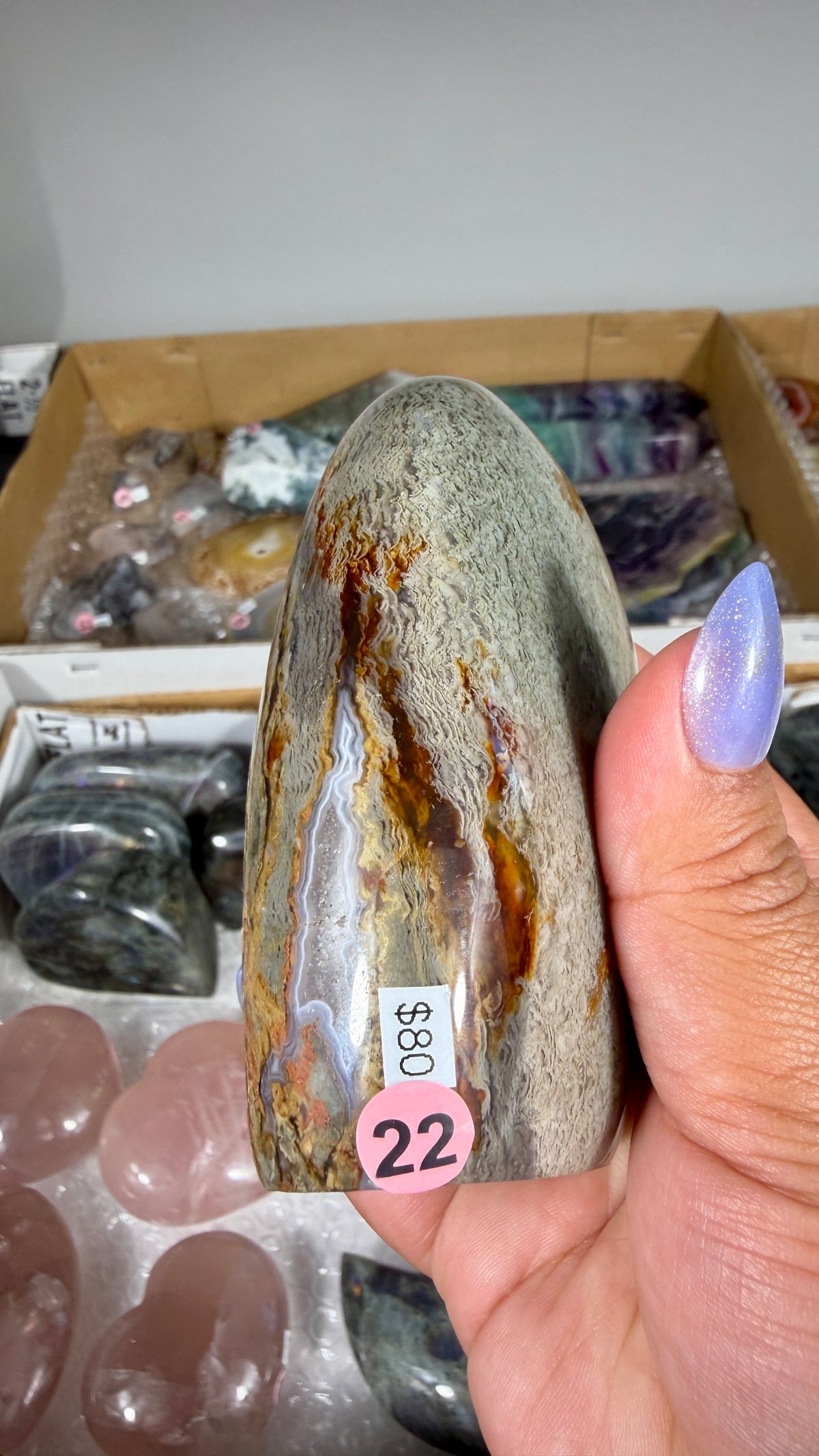 Gorgeous Ibis Jasper Freeform | Opt 22