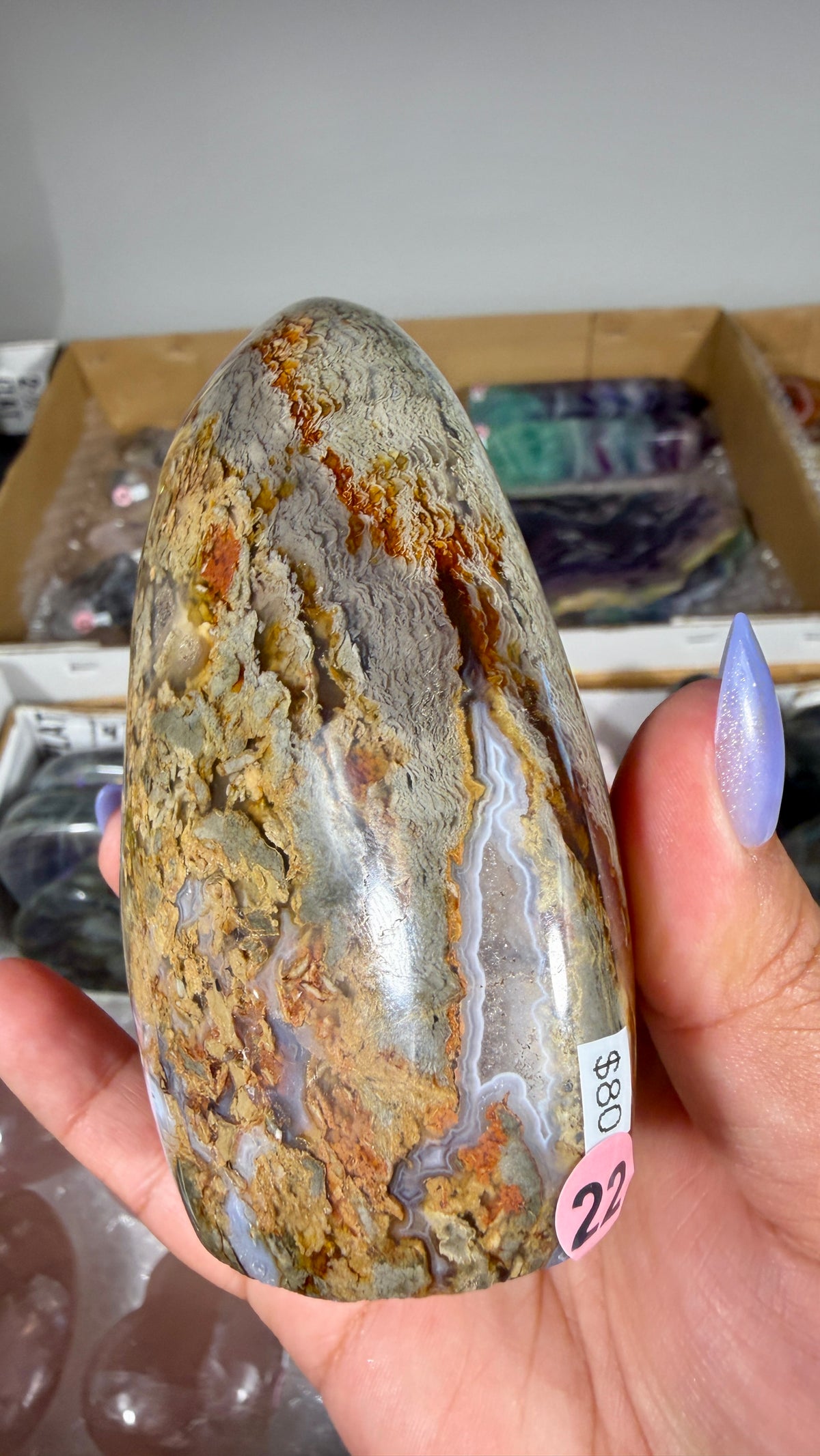 Gorgeous Ibis Jasper Freeform | Opt 22