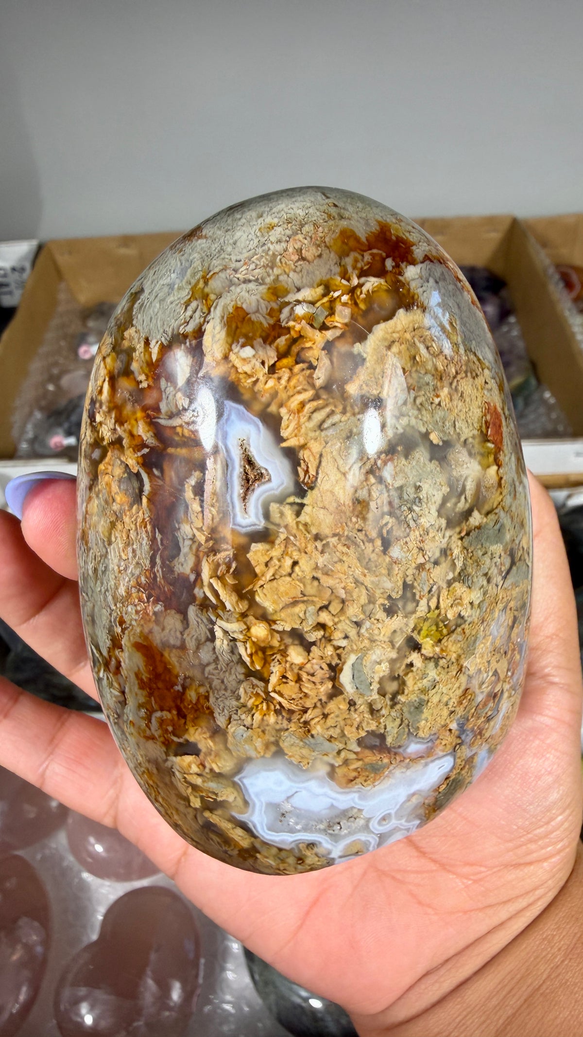 Gorgeous Ibis Jasper Freeform | Opt 22