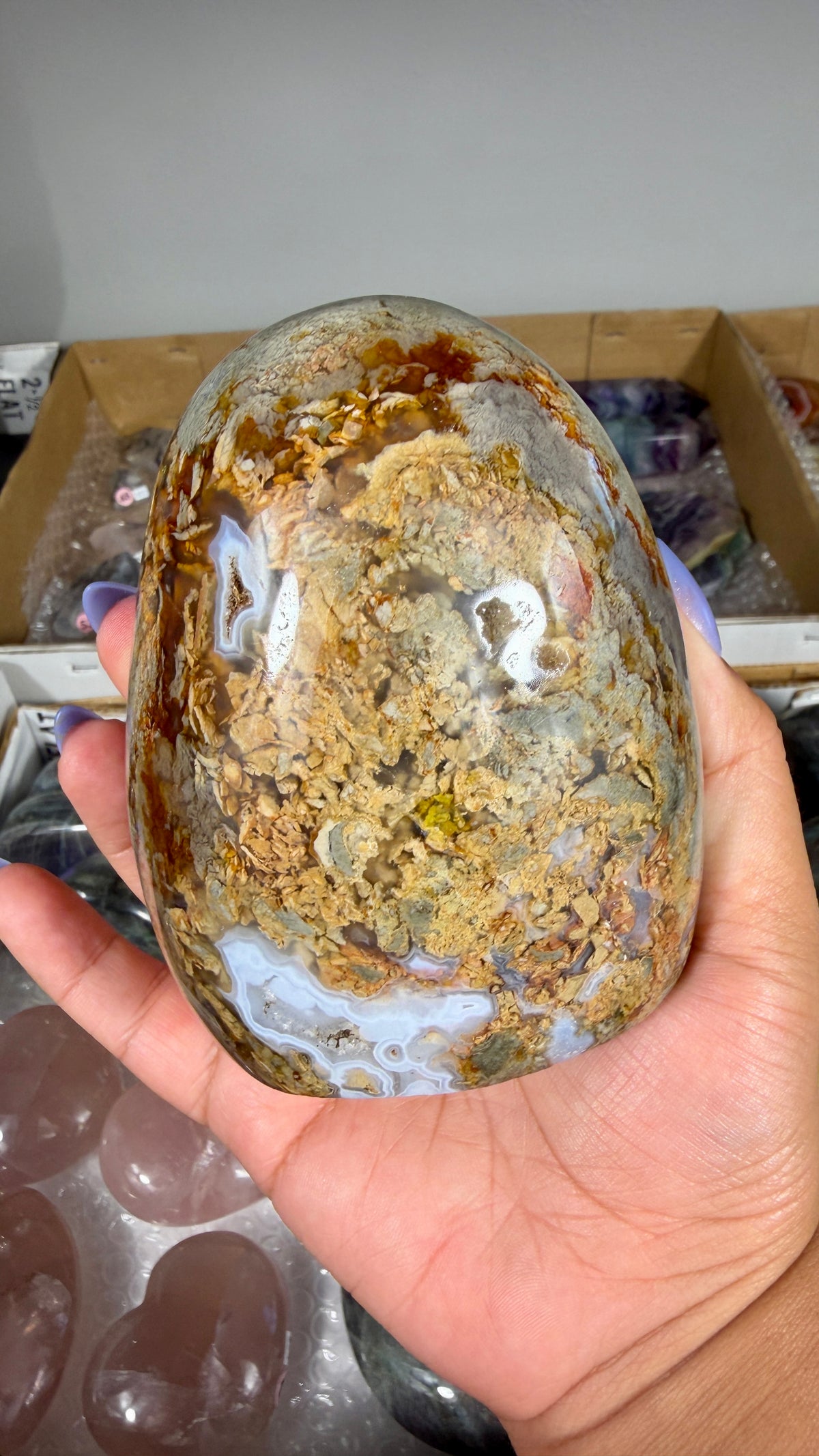 Gorgeous Ibis Jasper Freeform | Opt 22
