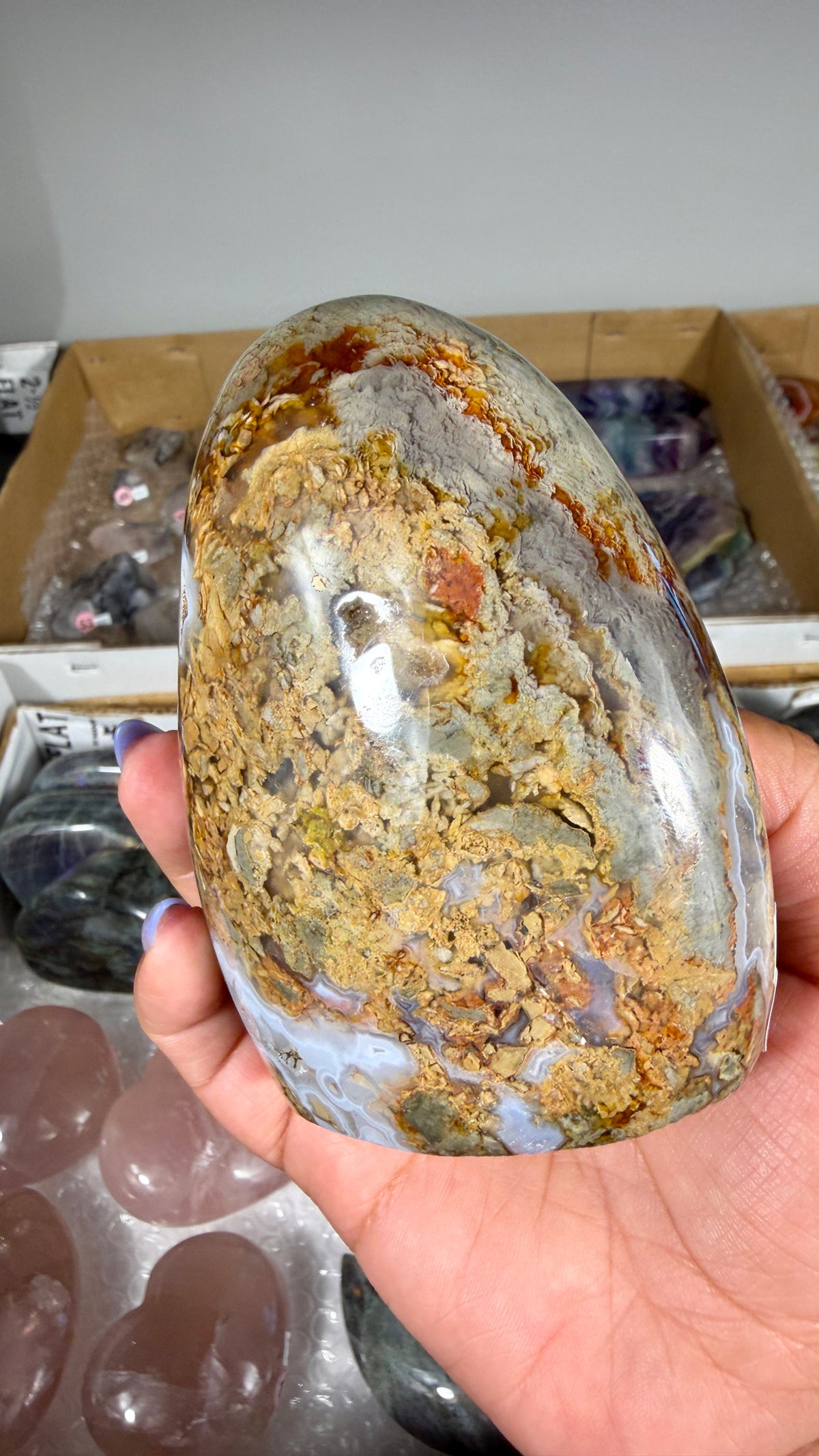 Gorgeous Ibis Jasper Freeform | Opt 22