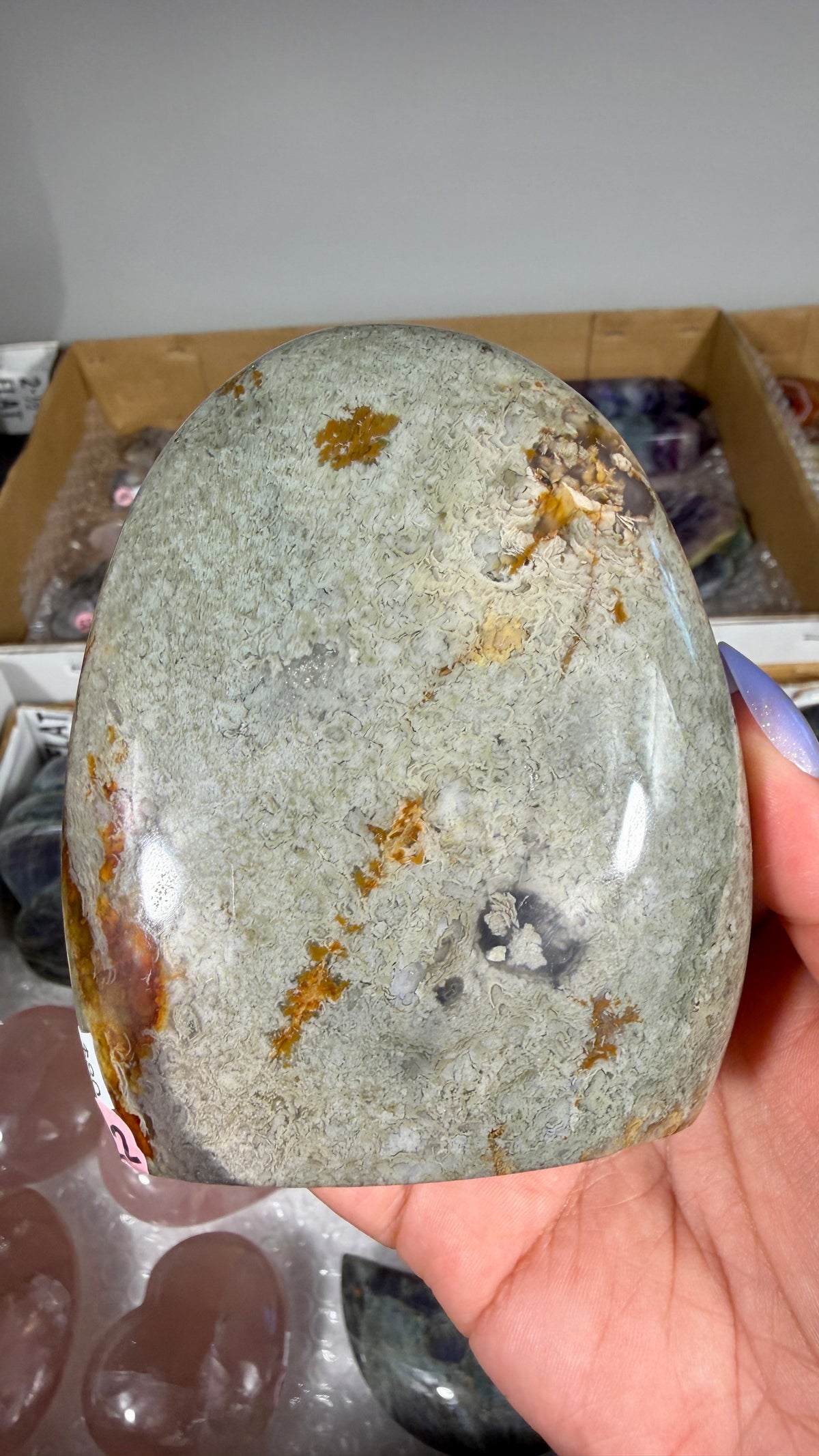 Gorgeous Ibis Jasper Freeform | Opt 22