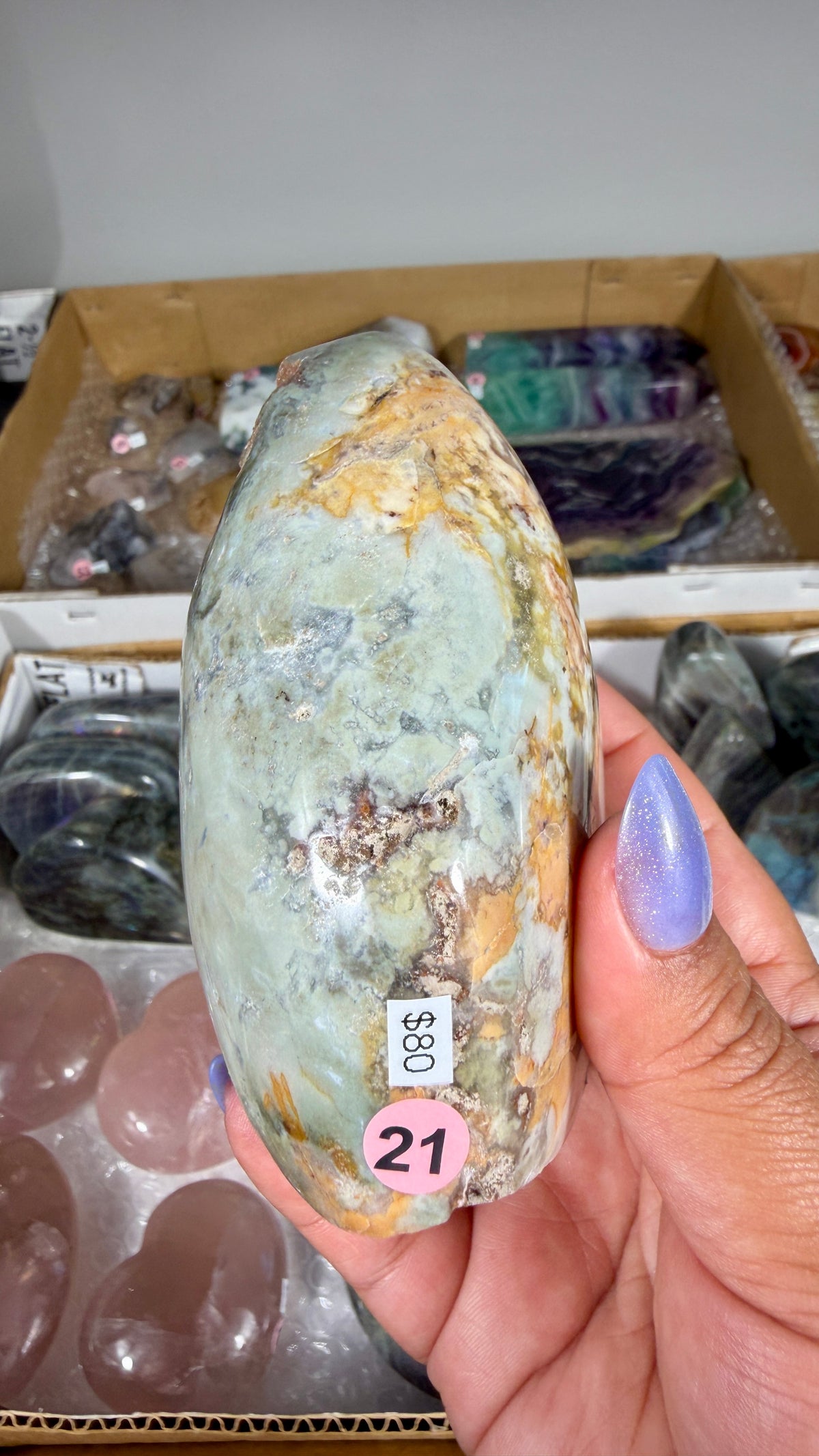 Gorgeous Ibis Jasper Freeform | Opt 21