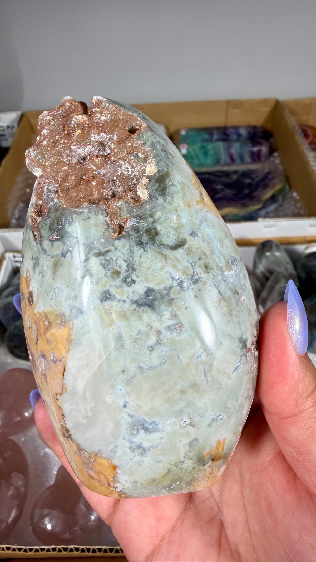 Gorgeous Ibis Jasper Freeform | Opt 21