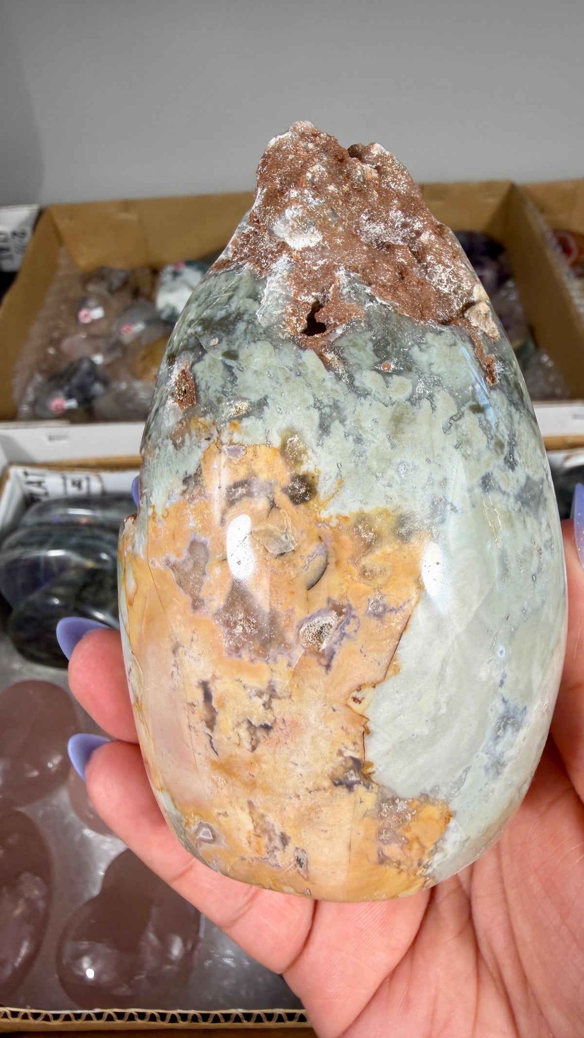 Gorgeous Ibis Jasper Freeform | Opt 21