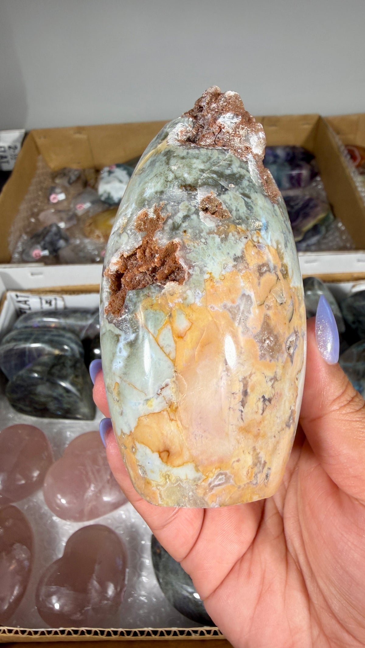 Gorgeous Ibis Jasper Freeform | Opt 21