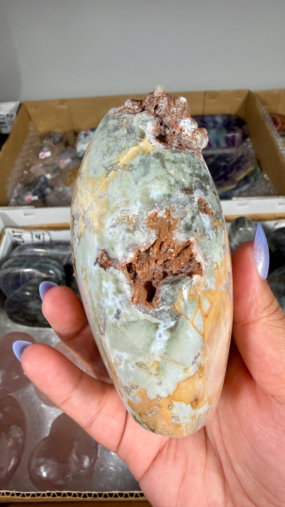 Gorgeous Ibis Jasper Freeform | Opt 21