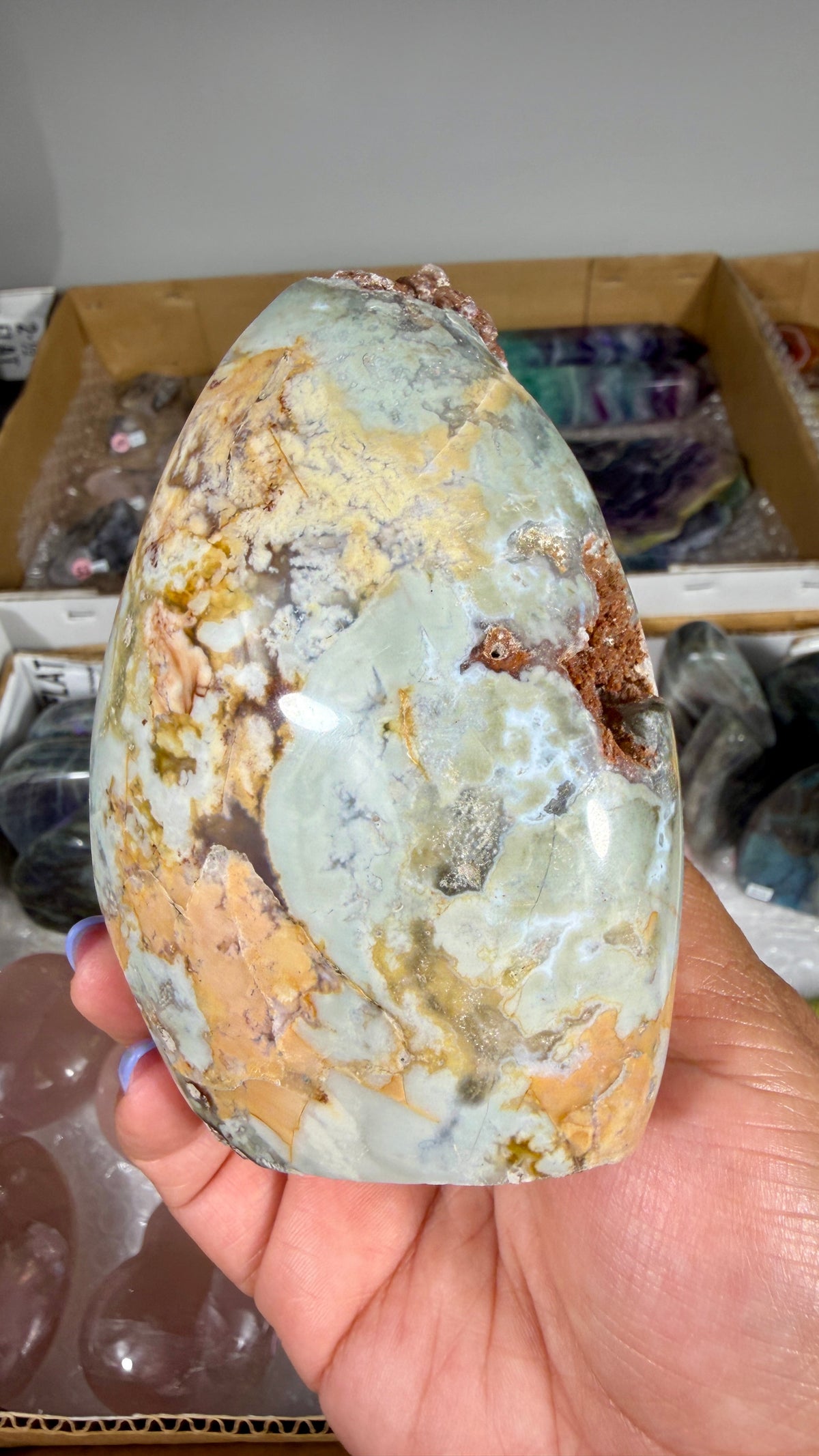 Gorgeous Ibis Jasper Freeform | Opt 21