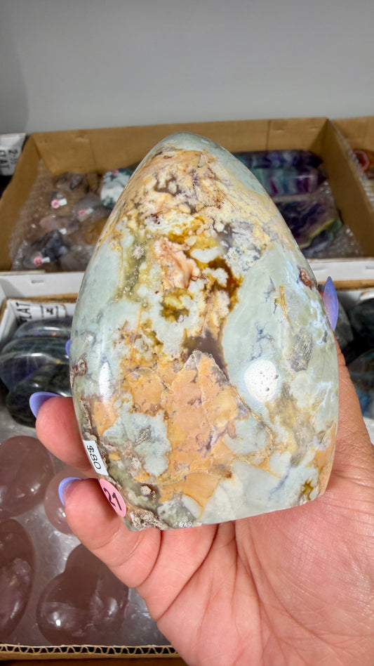 Gorgeous Ibis Jasper Freeform | Opt 21