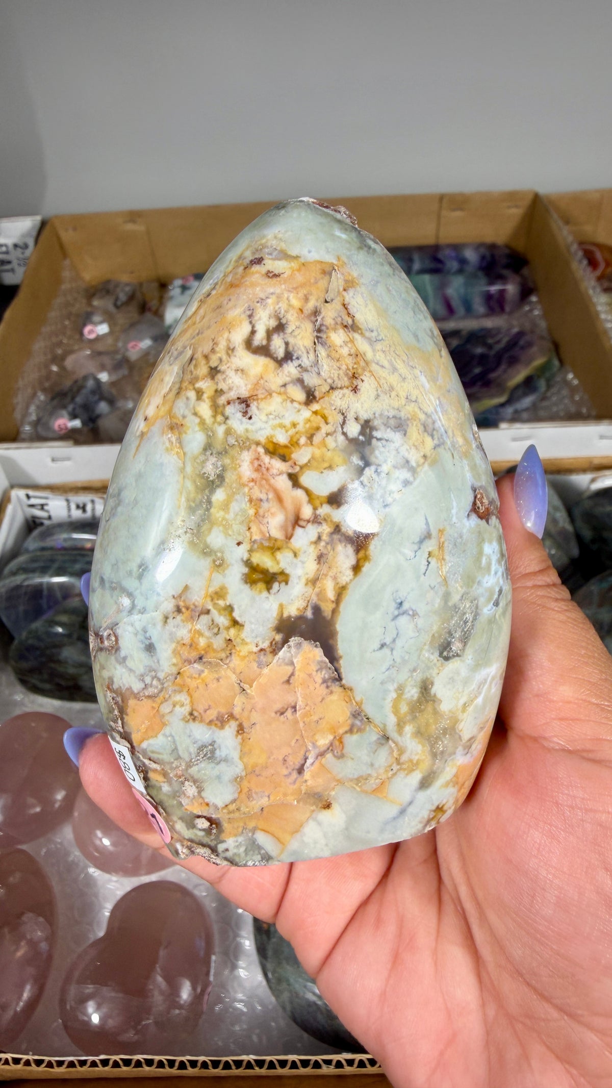 Gorgeous Ibis Jasper Freeform | Opt 21