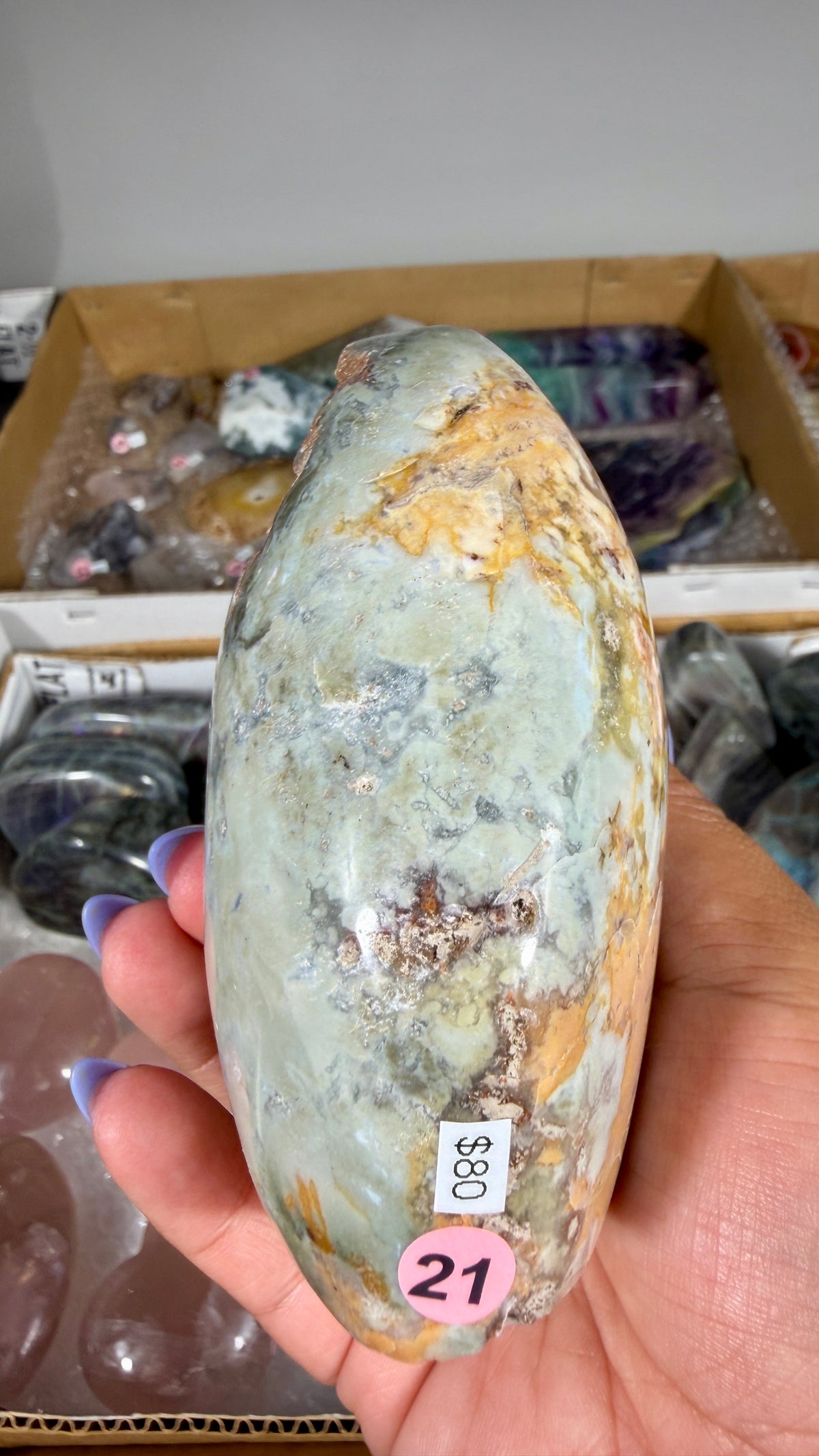Gorgeous Ibis Jasper Freeform | Opt 21