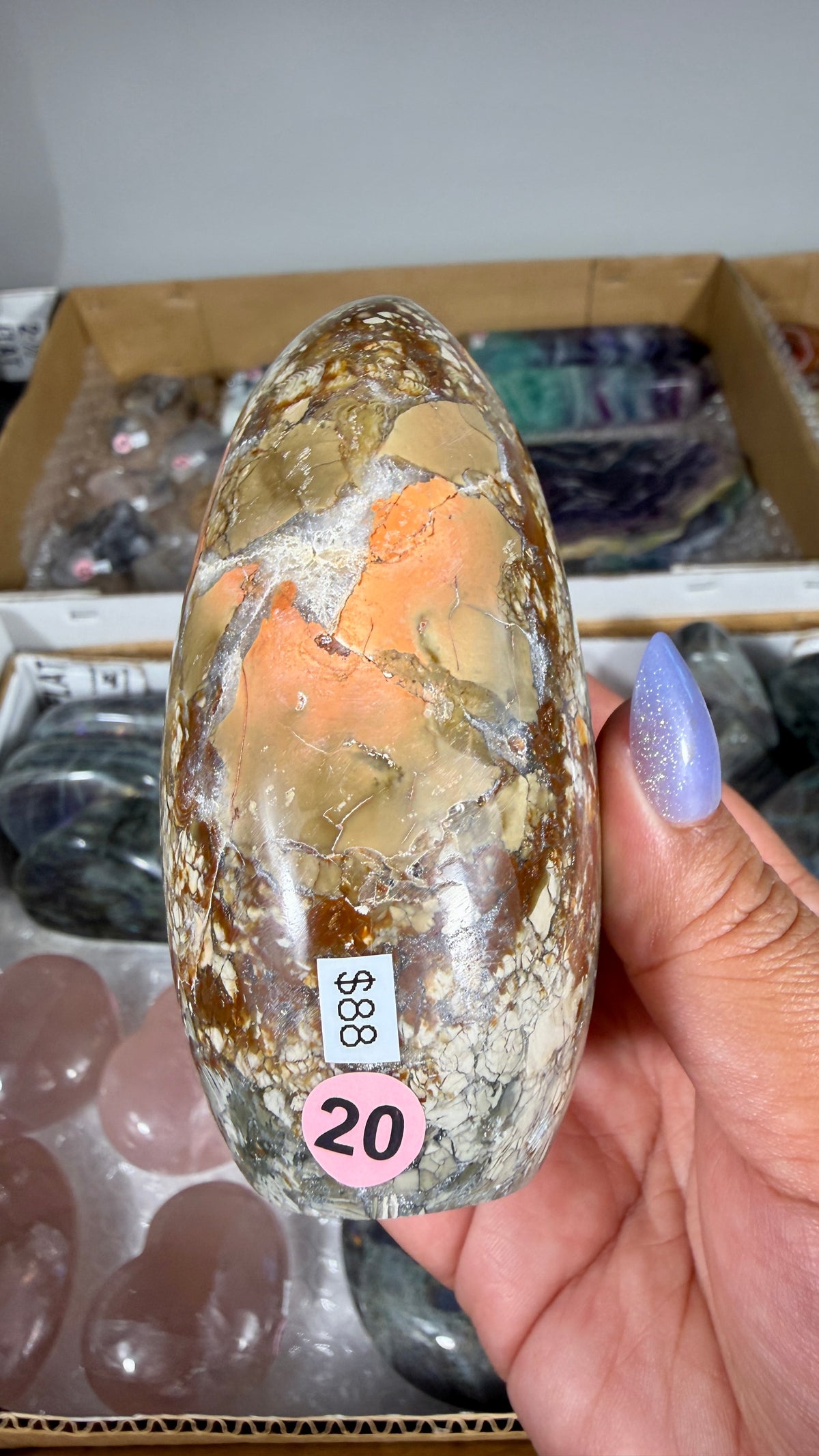 Gorgeous Ibis Jasper Freeform | Opt 20