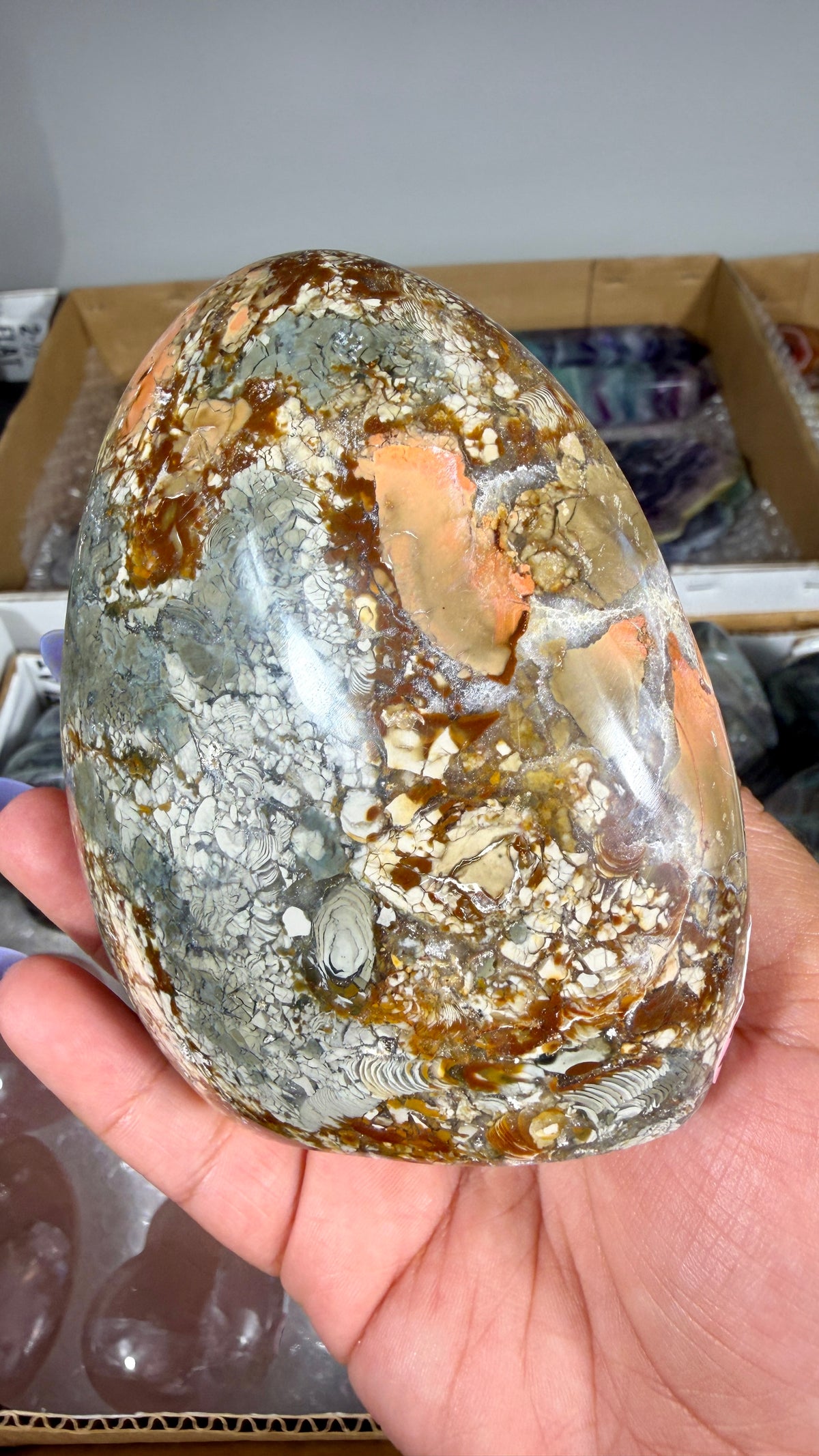 Gorgeous Ibis Jasper Freeform | Opt 20