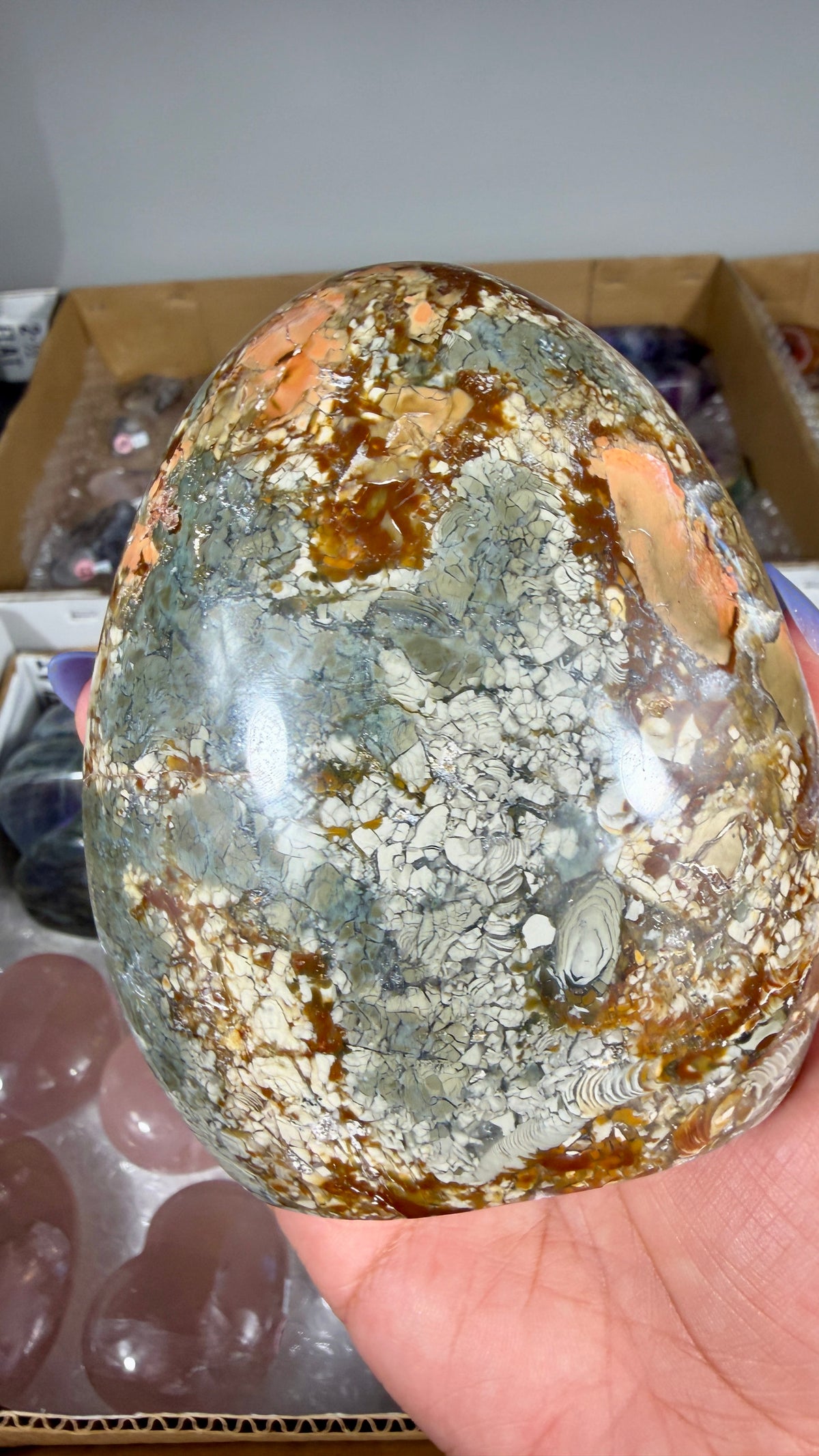 Gorgeous Ibis Jasper Freeform | Opt 20