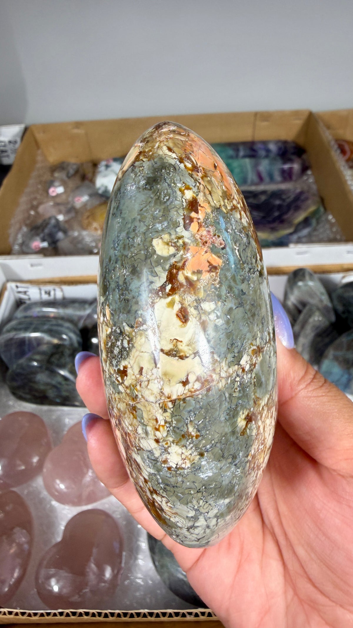 Gorgeous Ibis Jasper Freeform | Opt 20