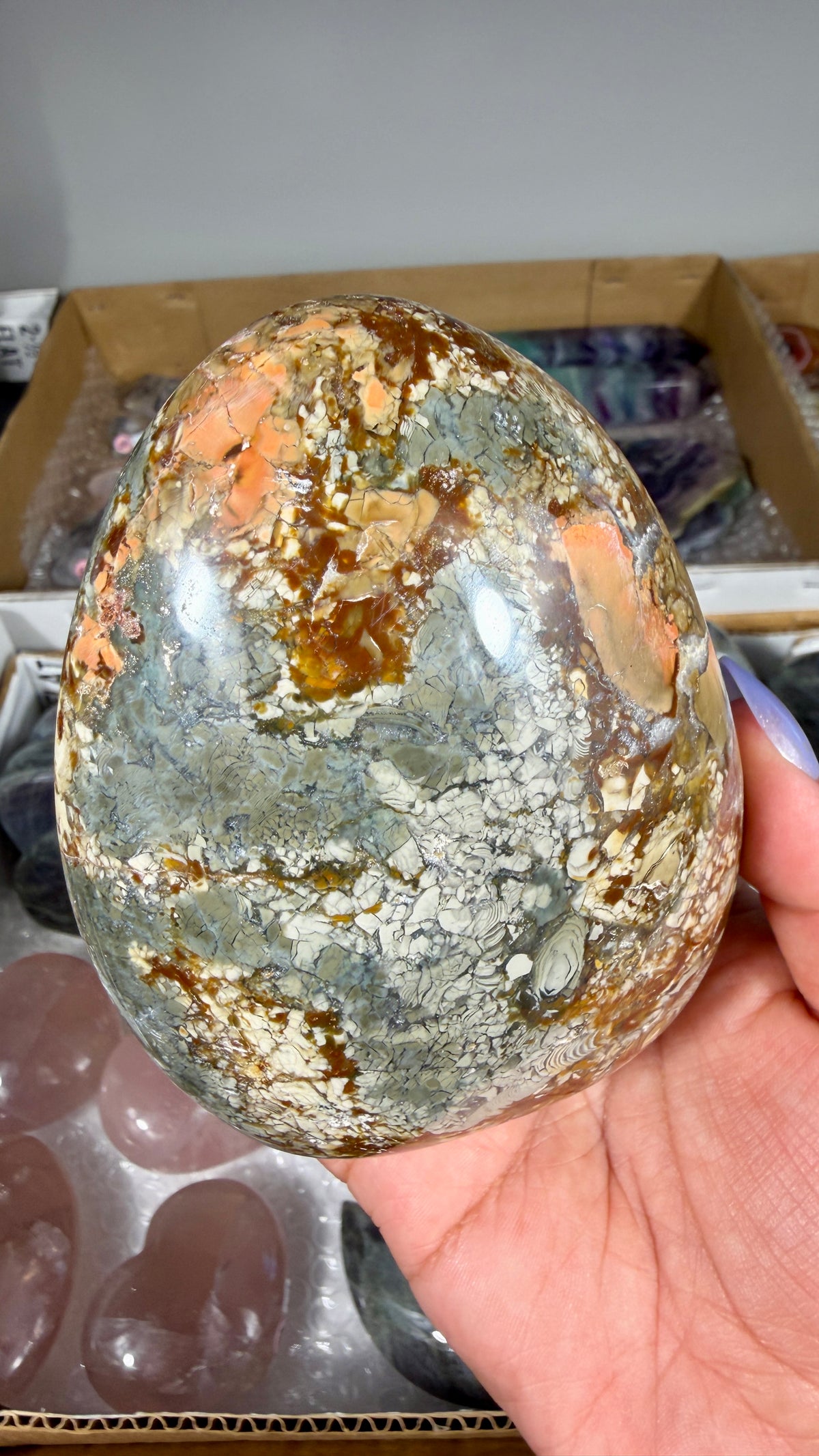 Gorgeous Ibis Jasper Freeform | Opt 20