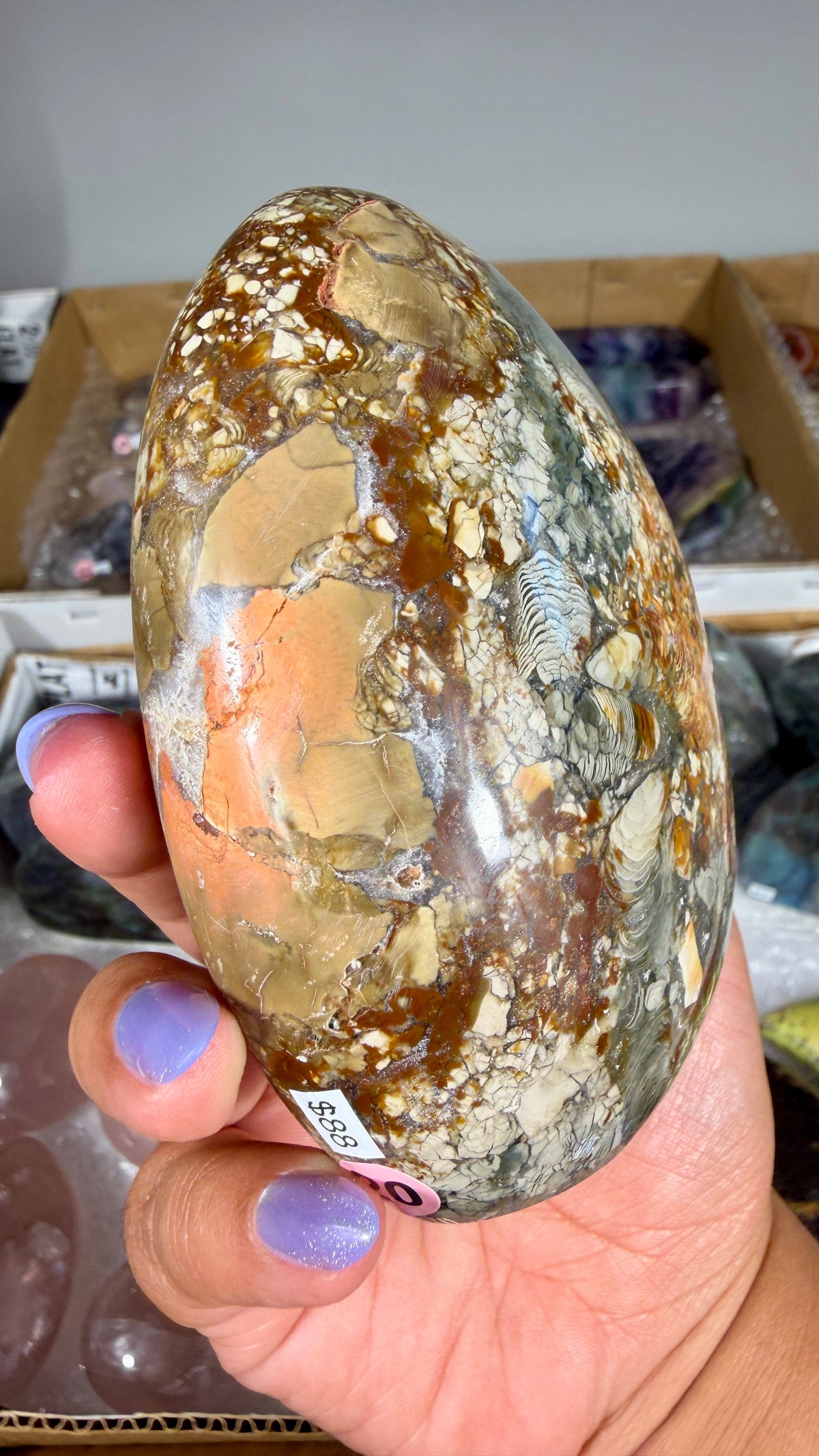 Gorgeous Ibis Jasper Freeform | Opt 20